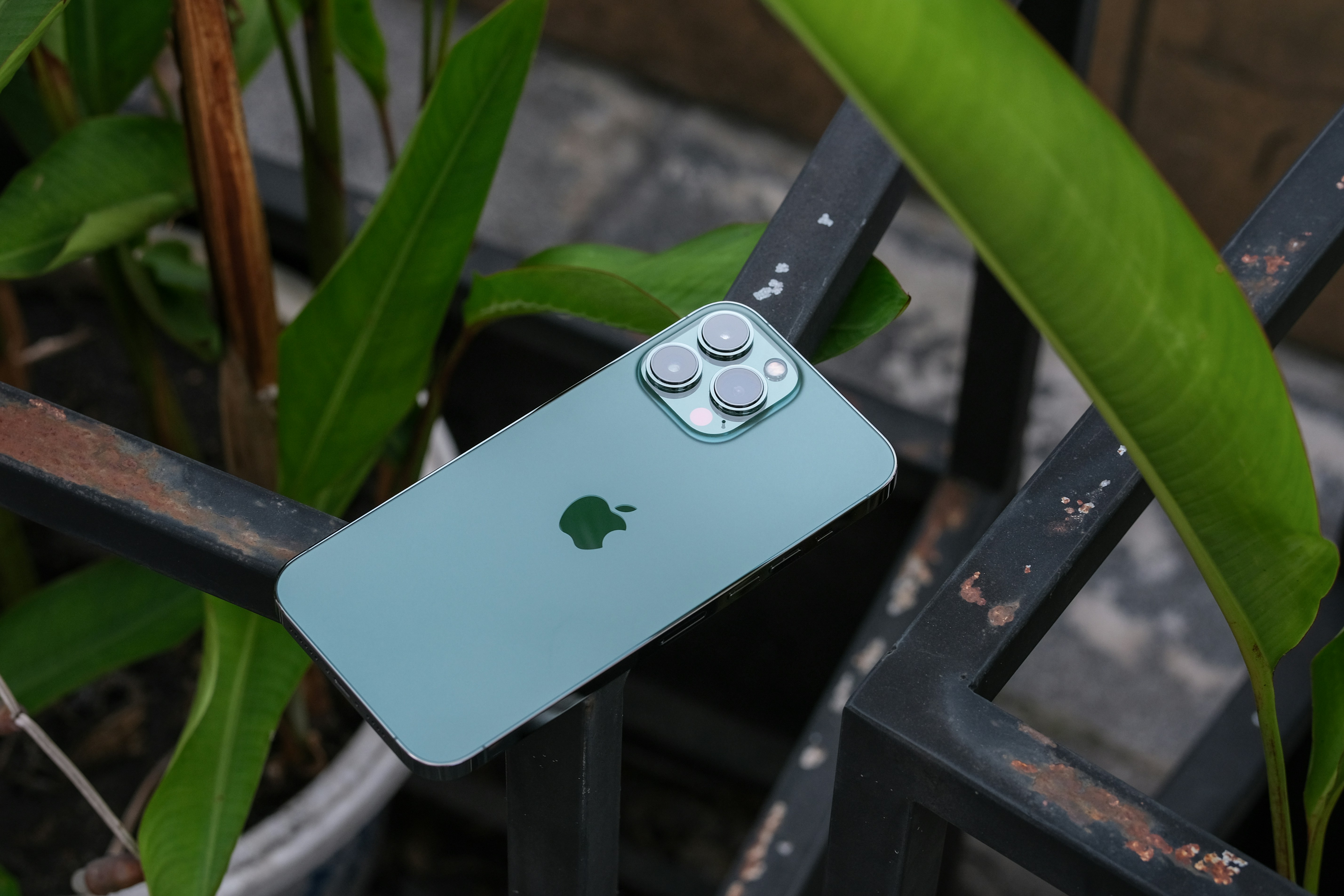 iPhone 13 и 13 Pro Max стали самыми продаваемыми смартфонами в мире по итогам первого квартала