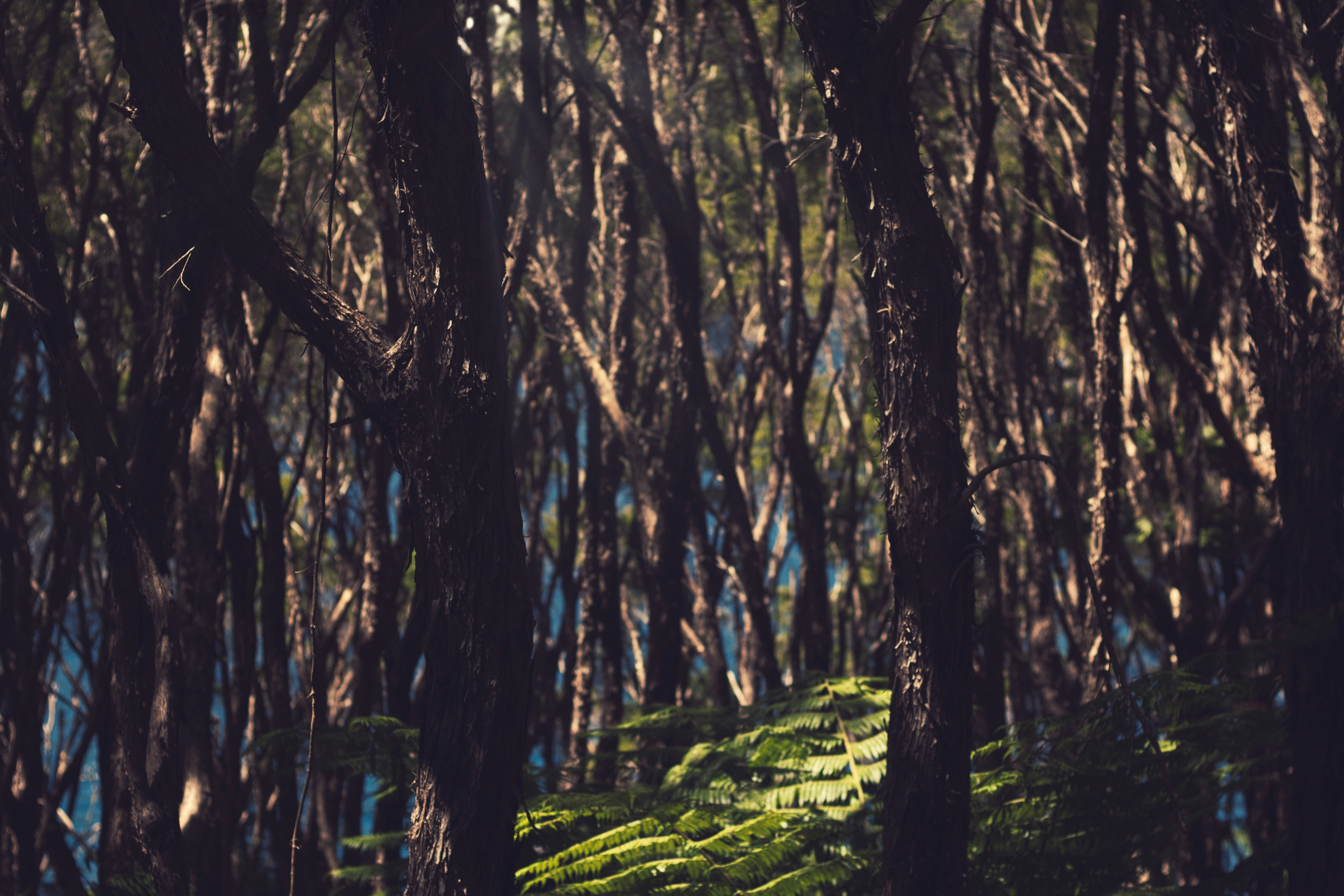 Photo by viusstudios