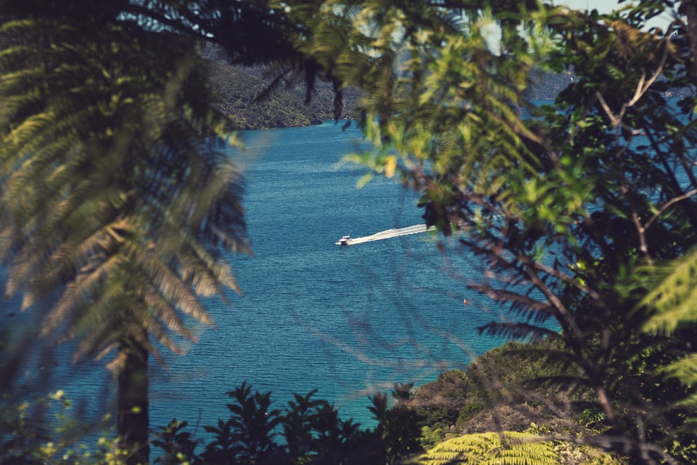 Un barco flotando en medio de un cuerpo de agua