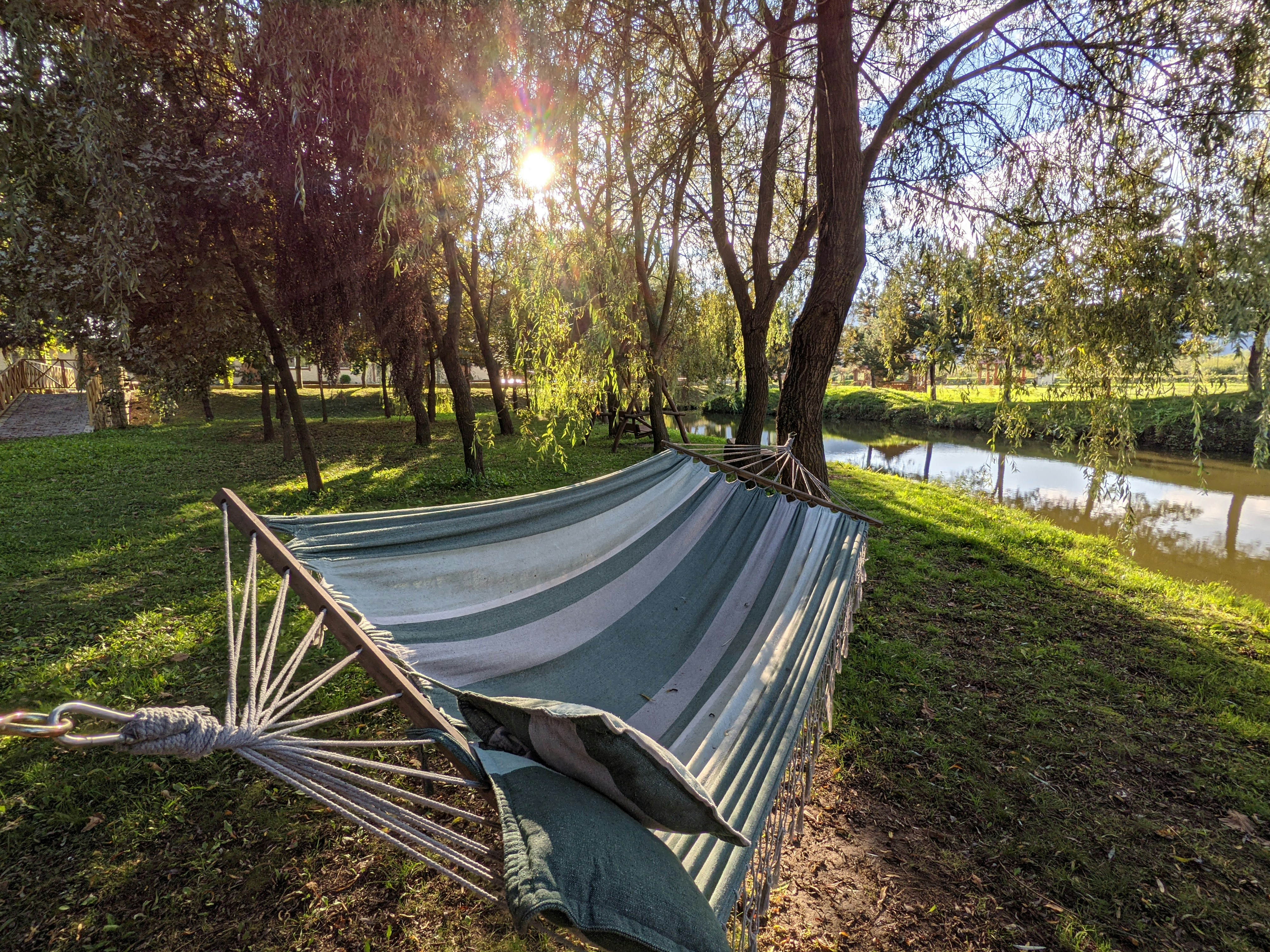 Hammock Zone
