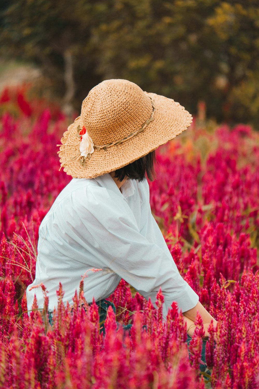 a woman kneeling in a field of red flowers