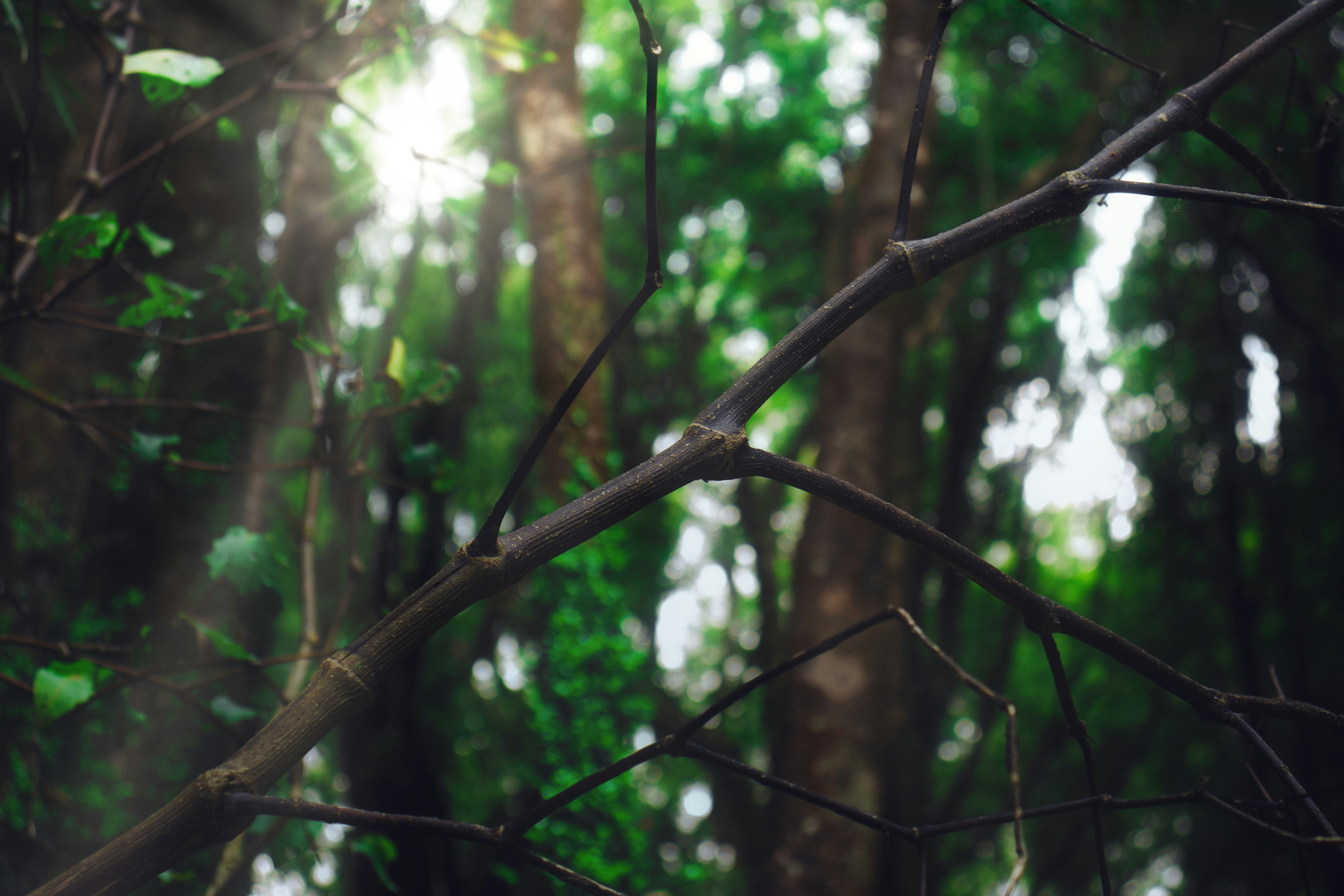 Photo by viusstudios