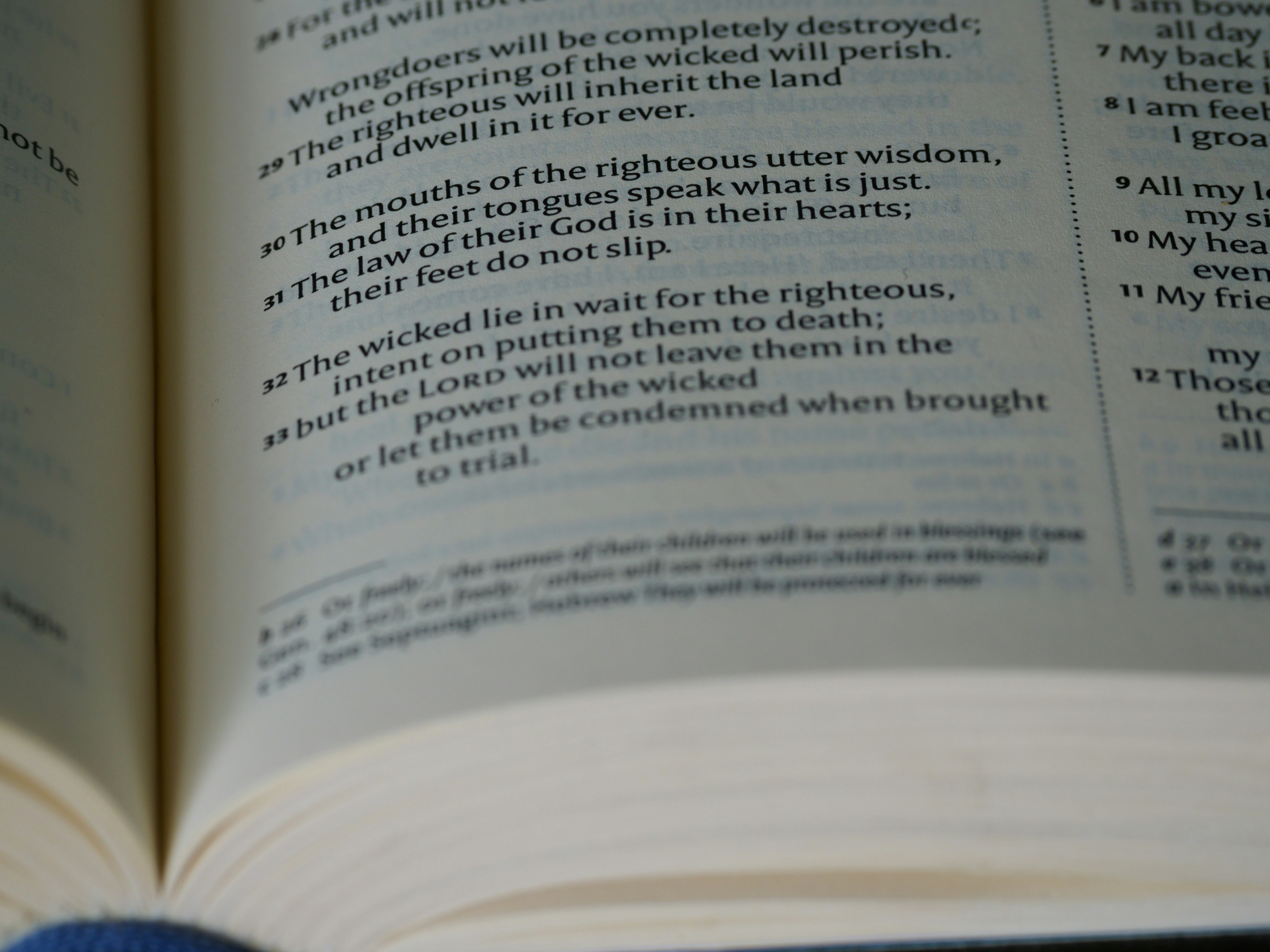 a close up of a book with an open page