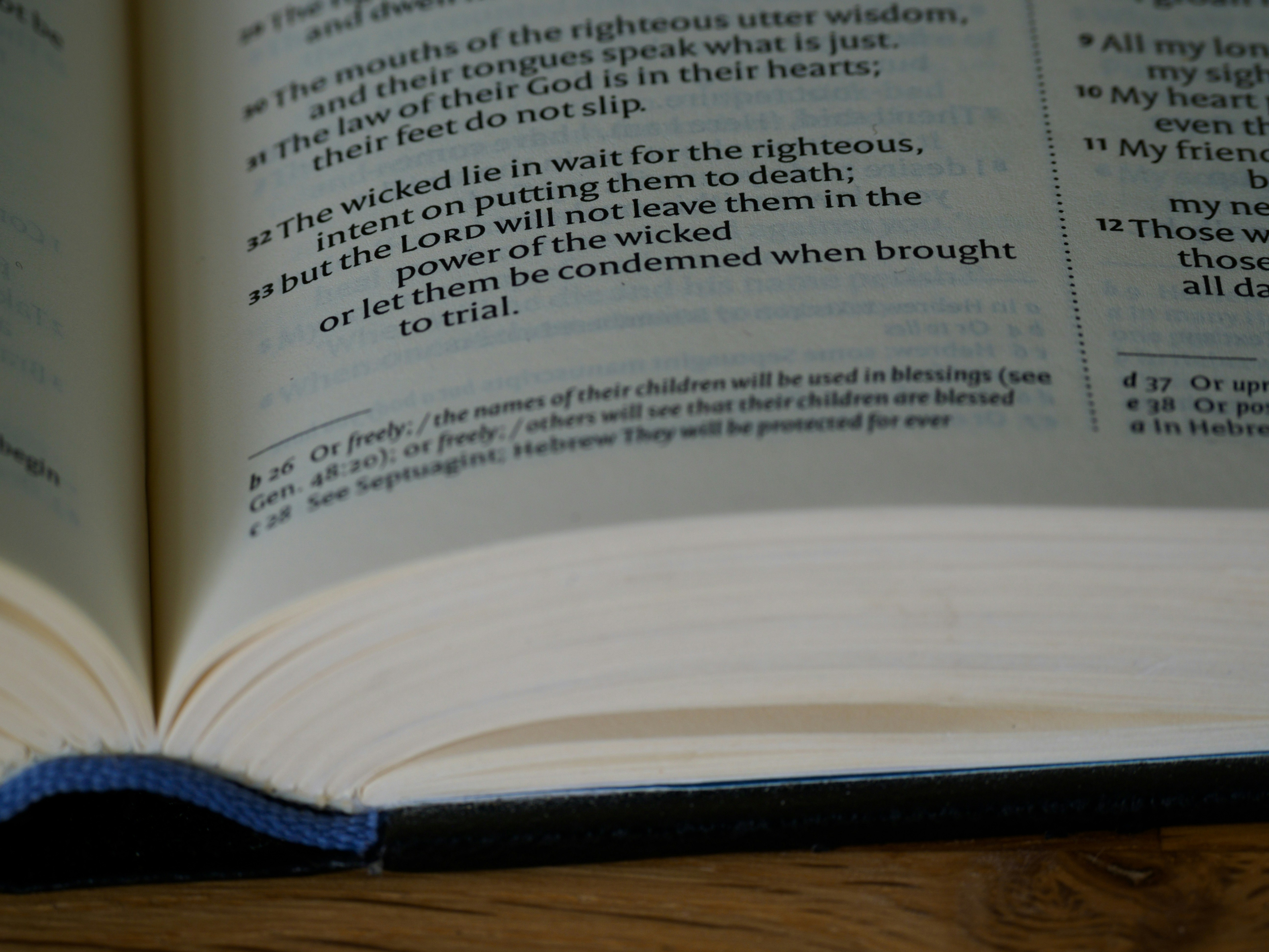 Photo by brett_jordan