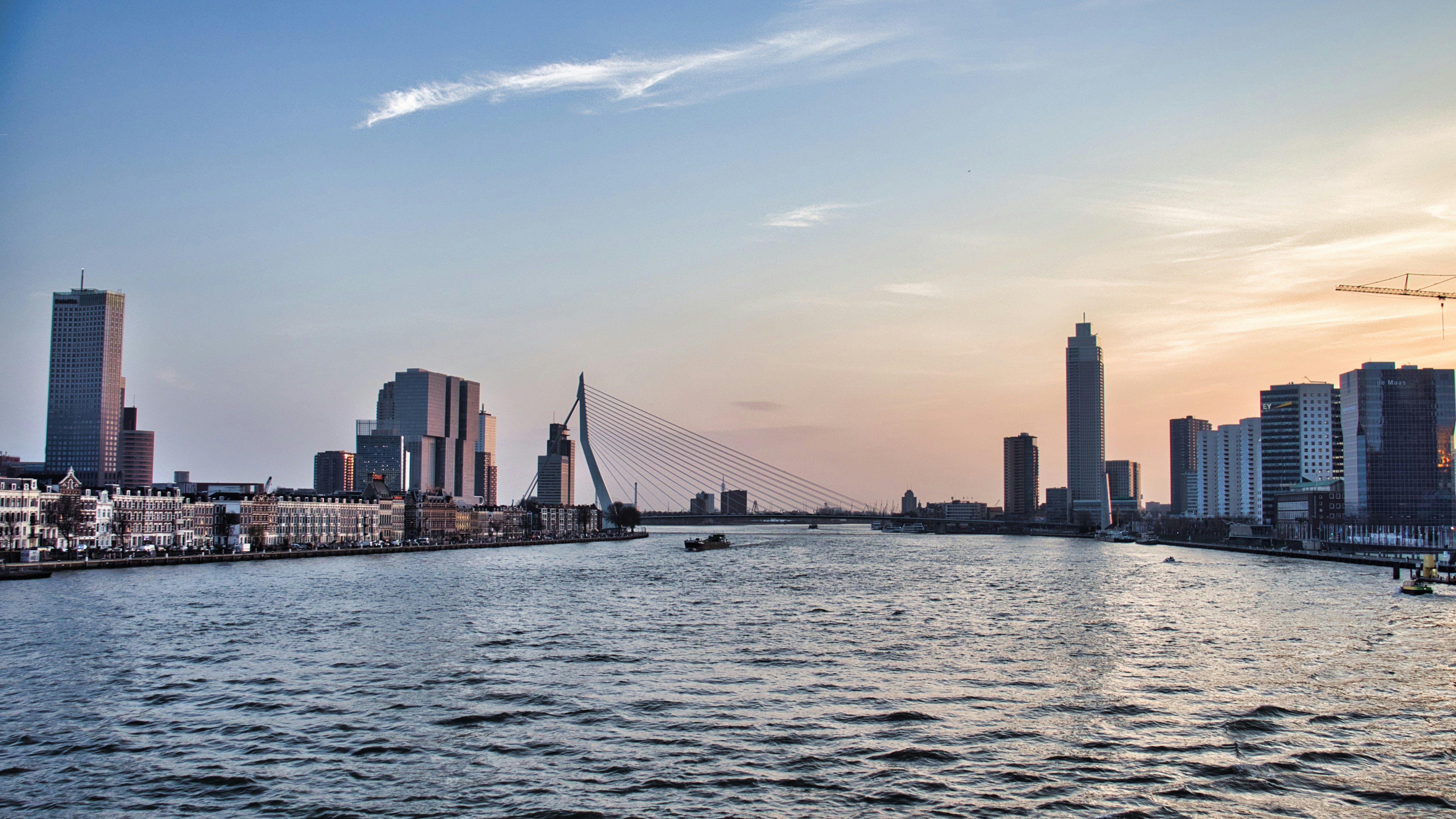 Golden hour photograph of the Erasmus bridge and the surrounding city