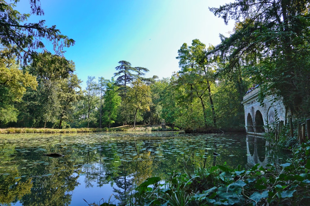 a lake surrounded by trees and a bridge