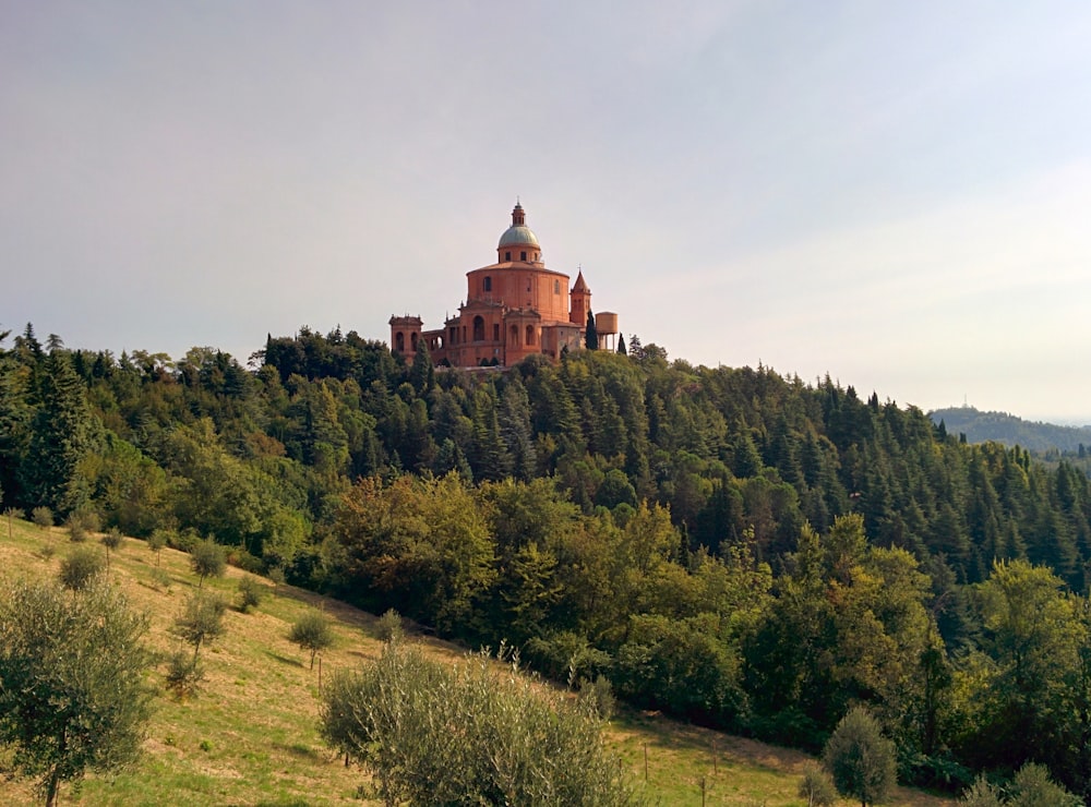 a castle on top of a hill surrounded by trees