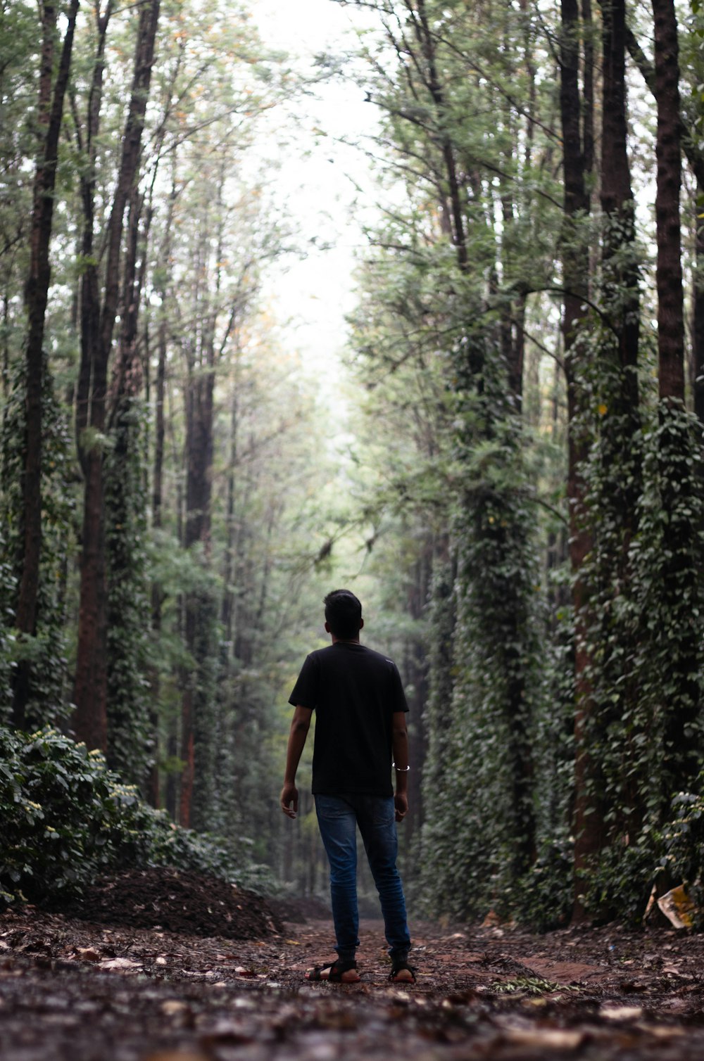 a man walking down a path in the woods