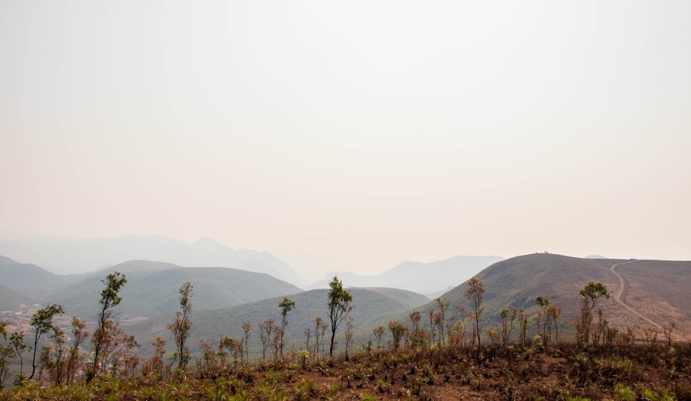 a view of a mountain range with trees and mountains in the background