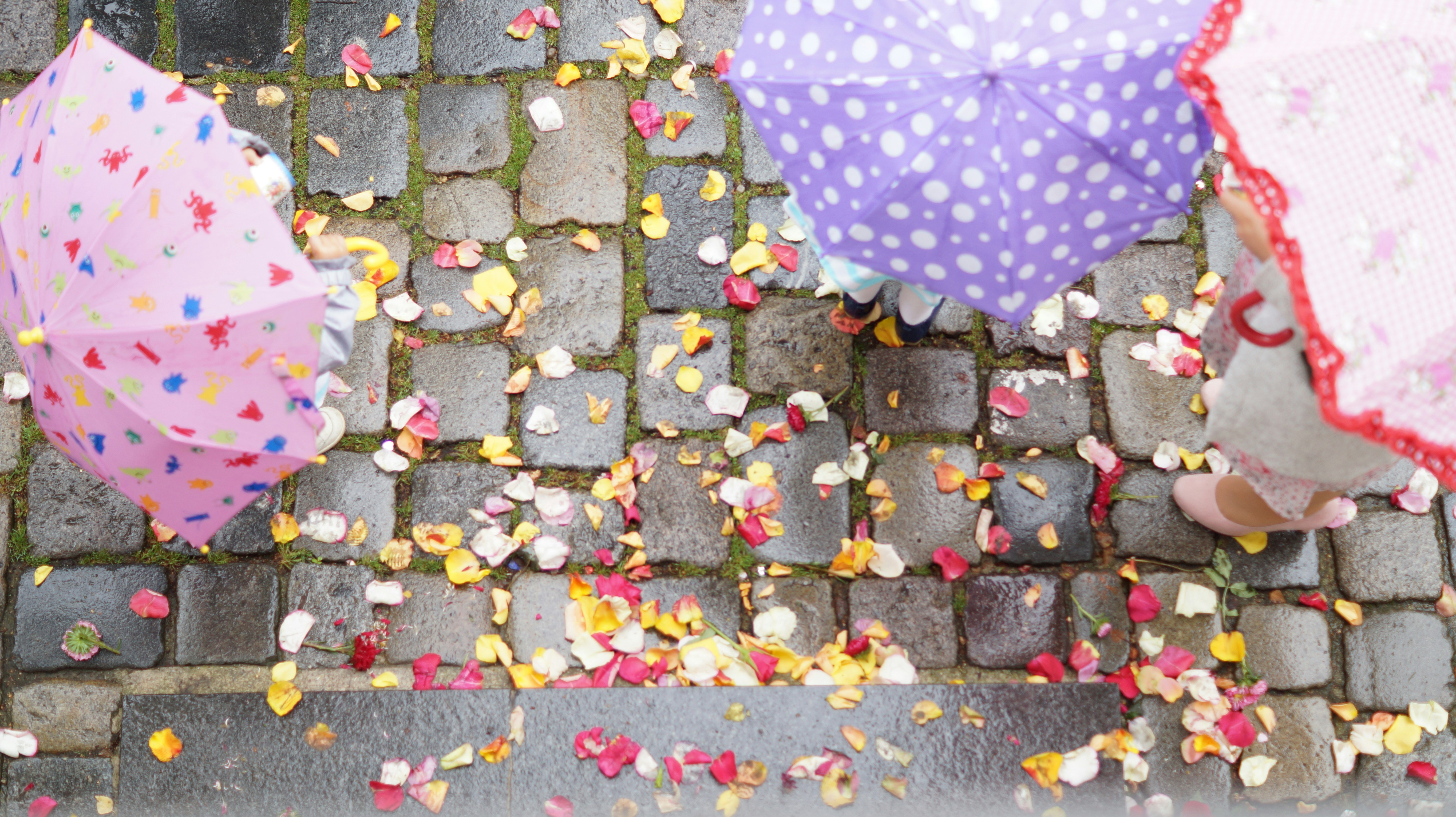 a group of people standing next to each other holding umbrellas