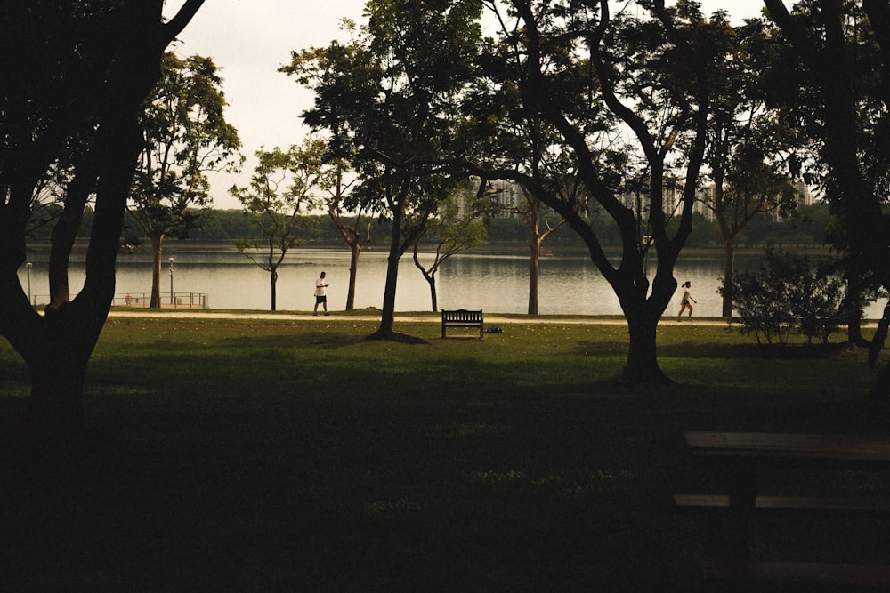 a park with a bench and a lake in the background