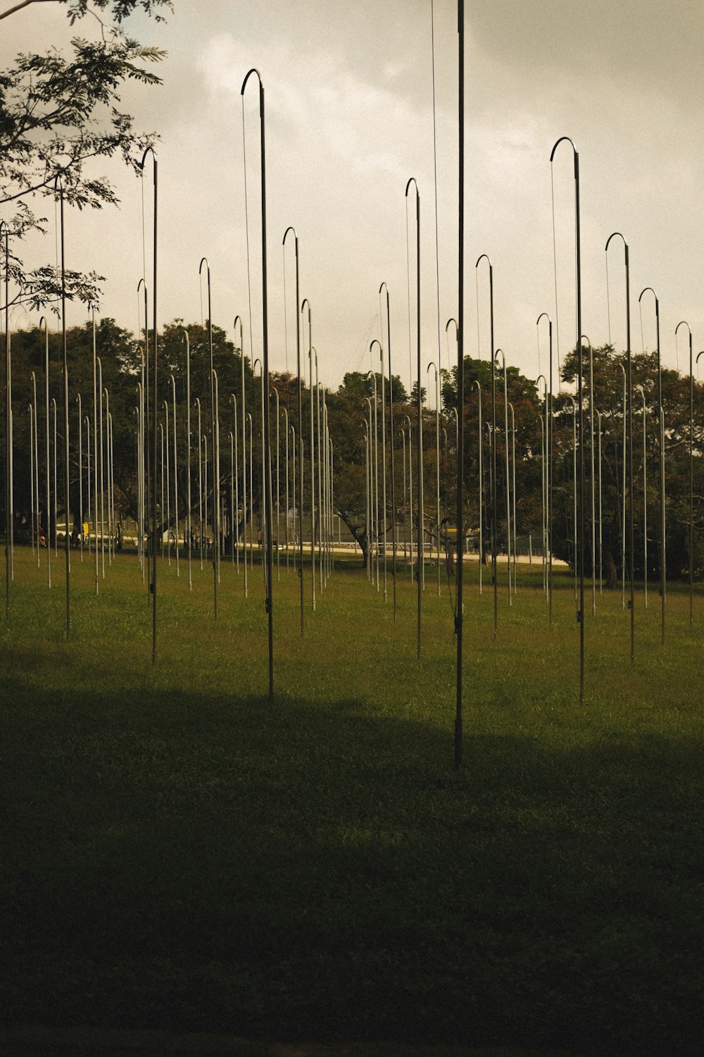 a field with a bunch of poles sticking out of it