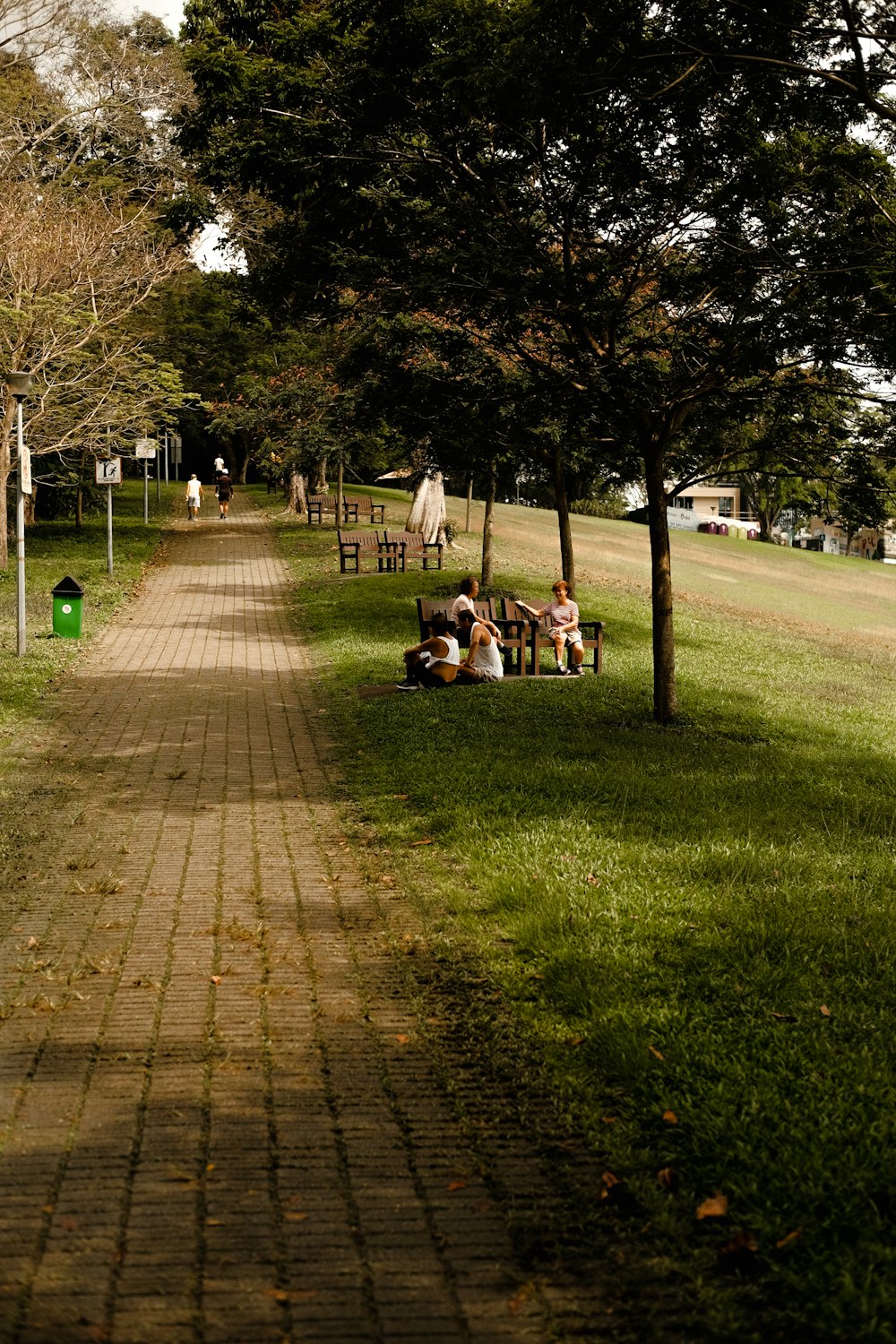 Un gruppo di persone sedute su una panchina sotto un albero