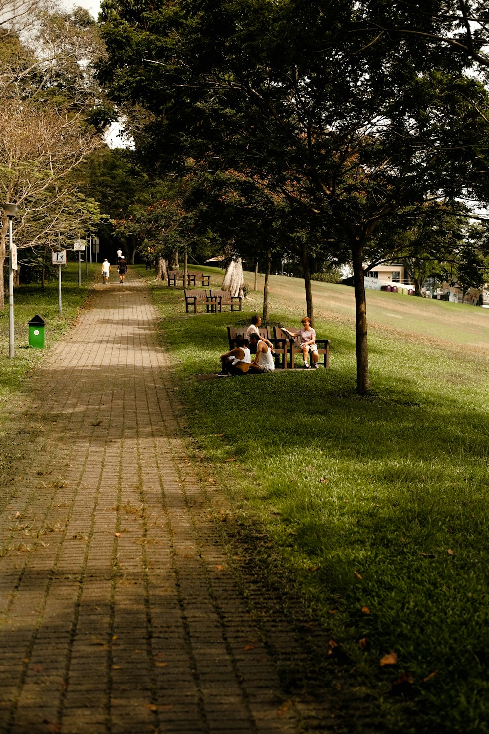 a group of people sitting on a bench under a tree