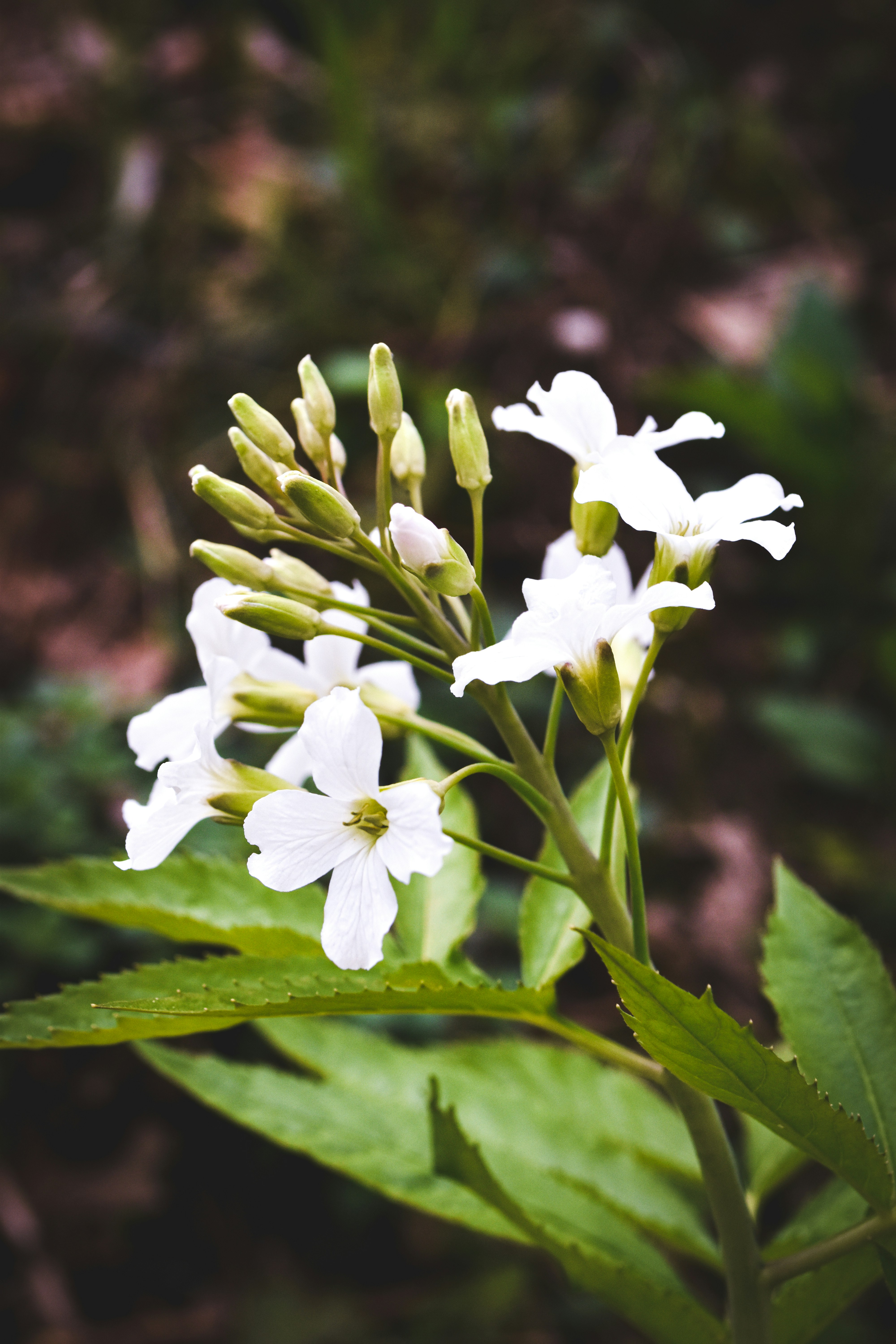 Photo by gracephotography