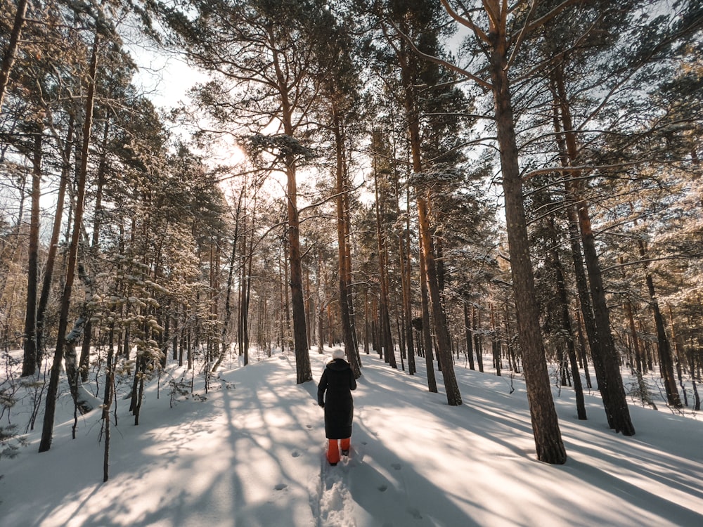 a person walking through a snow covered forest