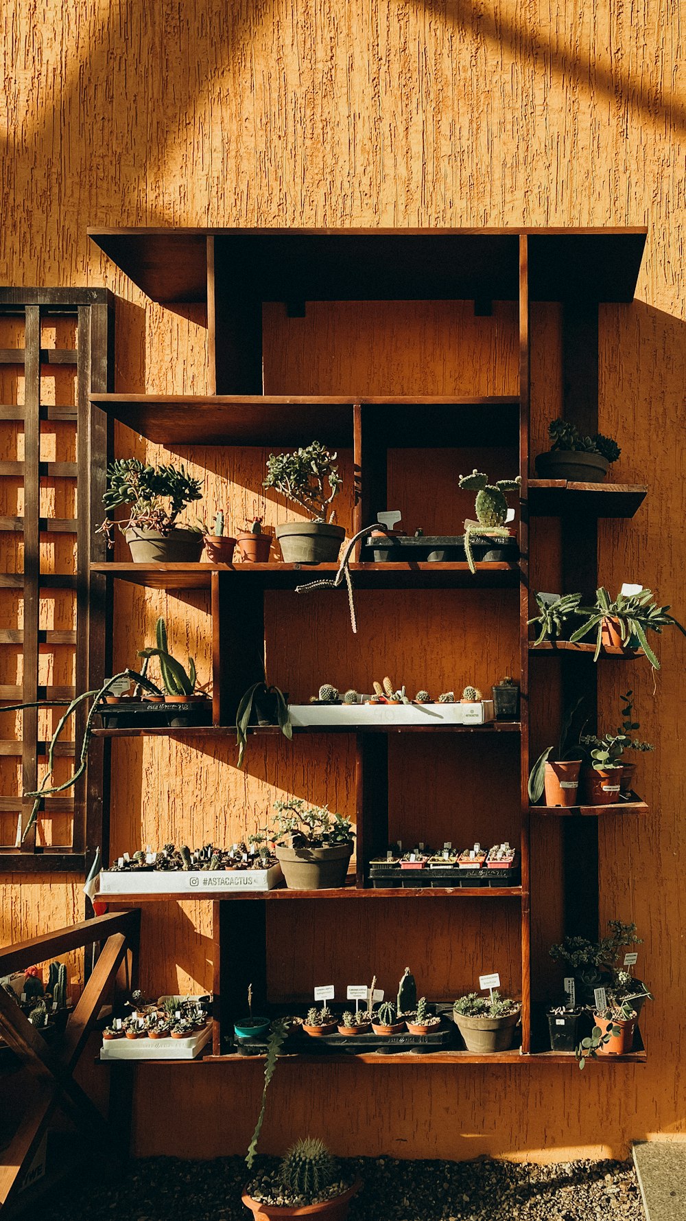 a wooden shelf filled with lots of potted plants