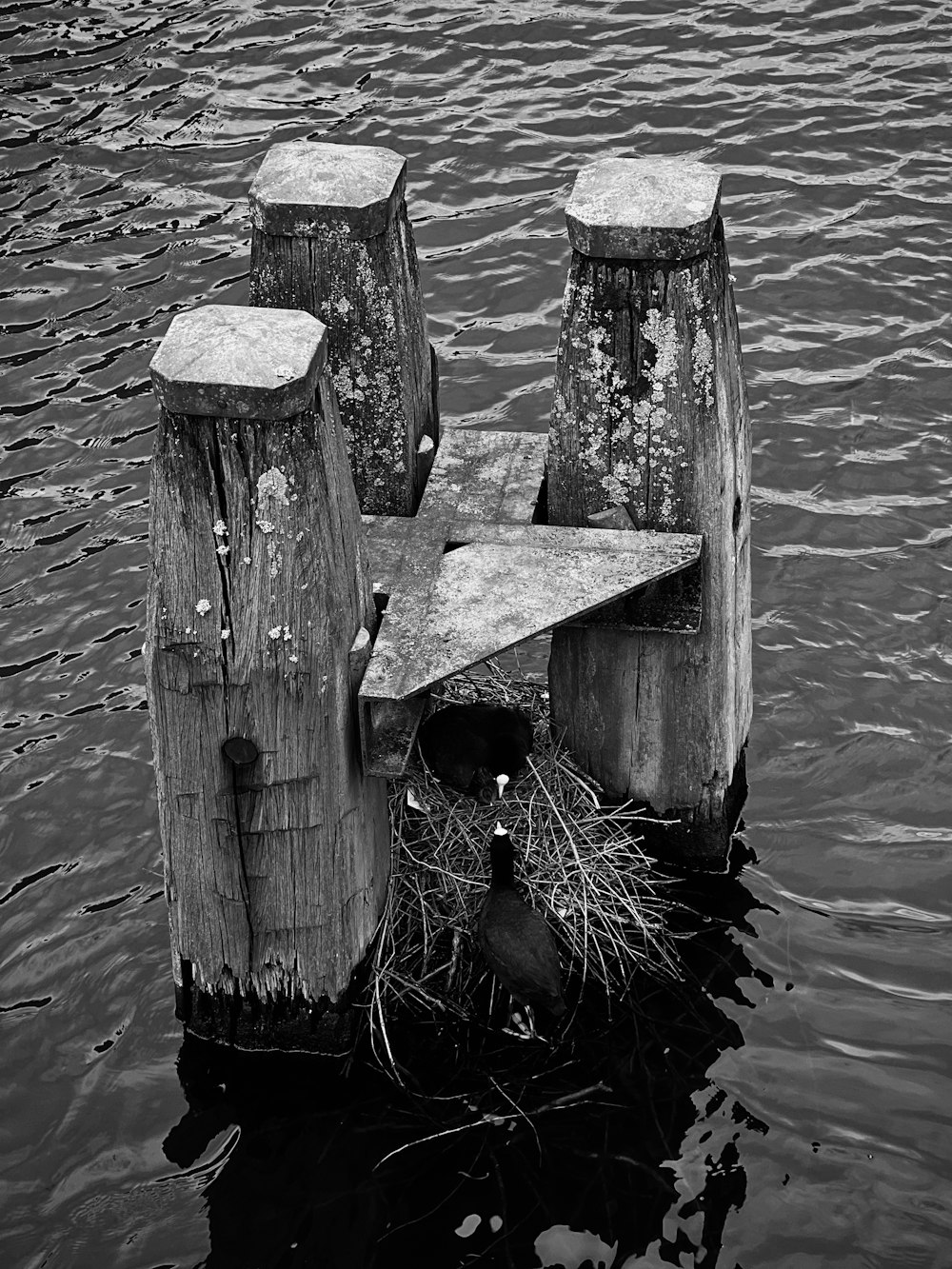 a black and white photo of a wooden structure in the water