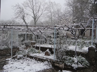 a garden covered in snow next to a fence