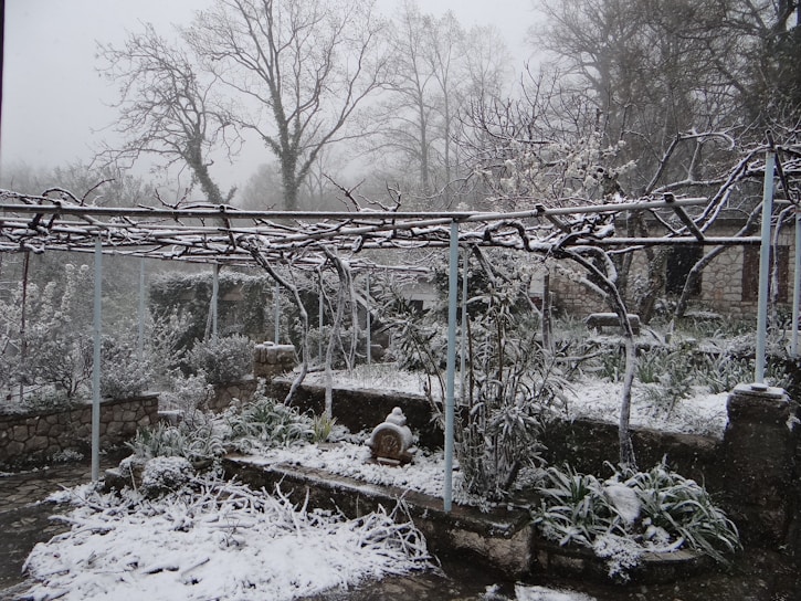 a garden covered in snow next to a fence