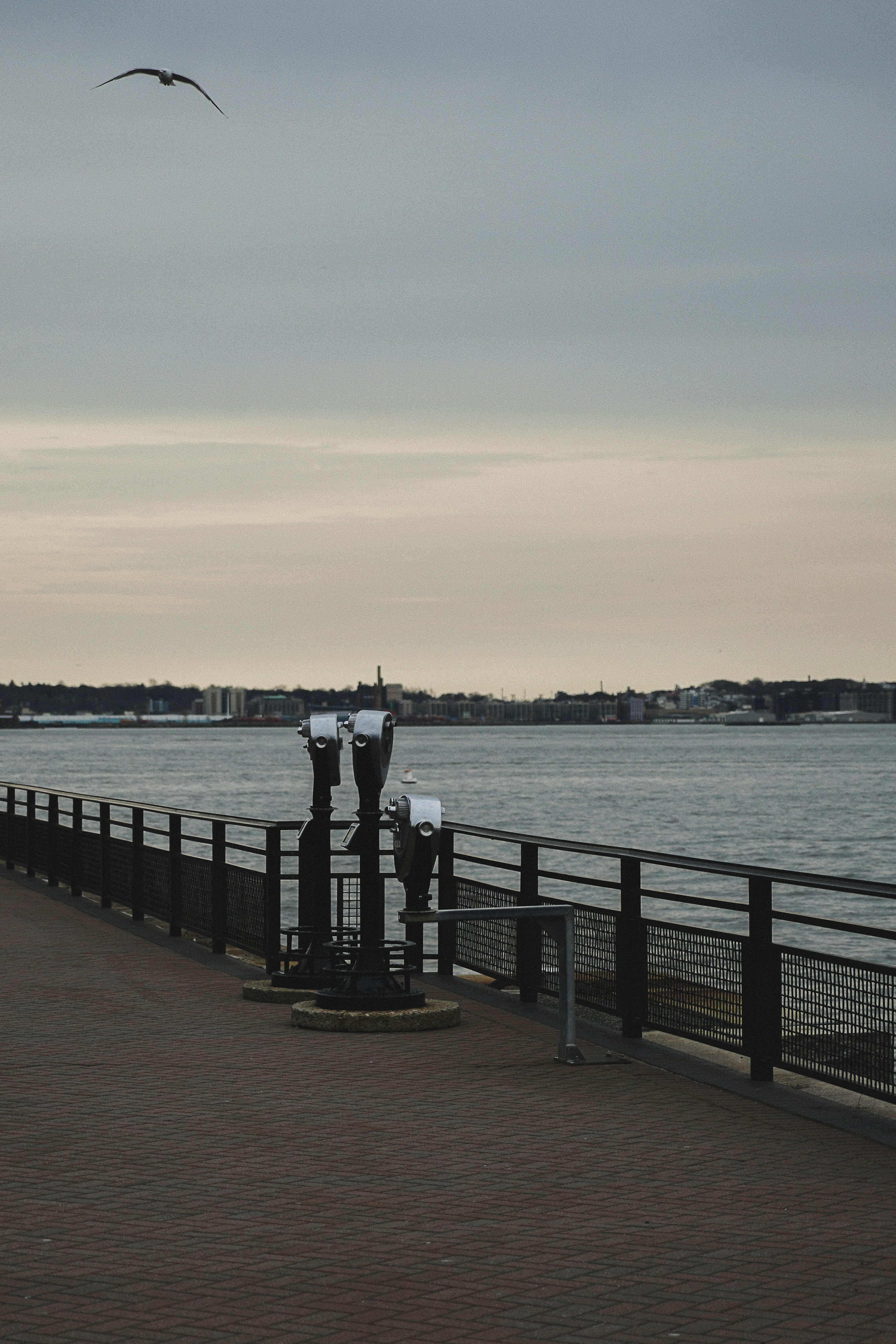 A couple of parking meters sitting next to a body of water photo – Free ...
