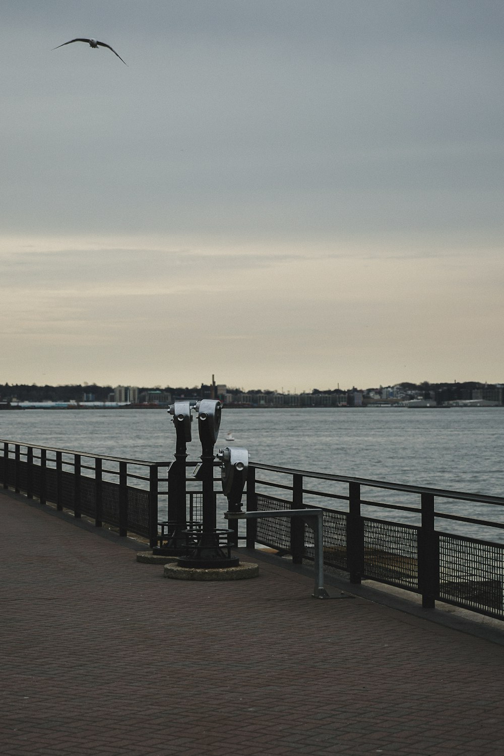 a couple of parking meters sitting next to a body of water