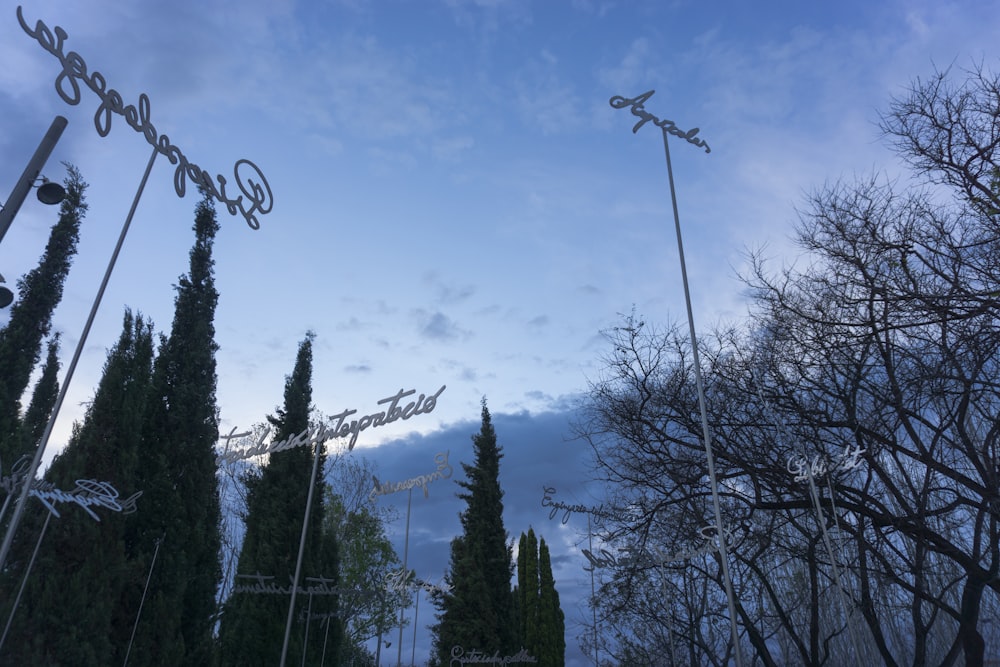 um grupo de placas de rua penduradas na lateral de um edifício