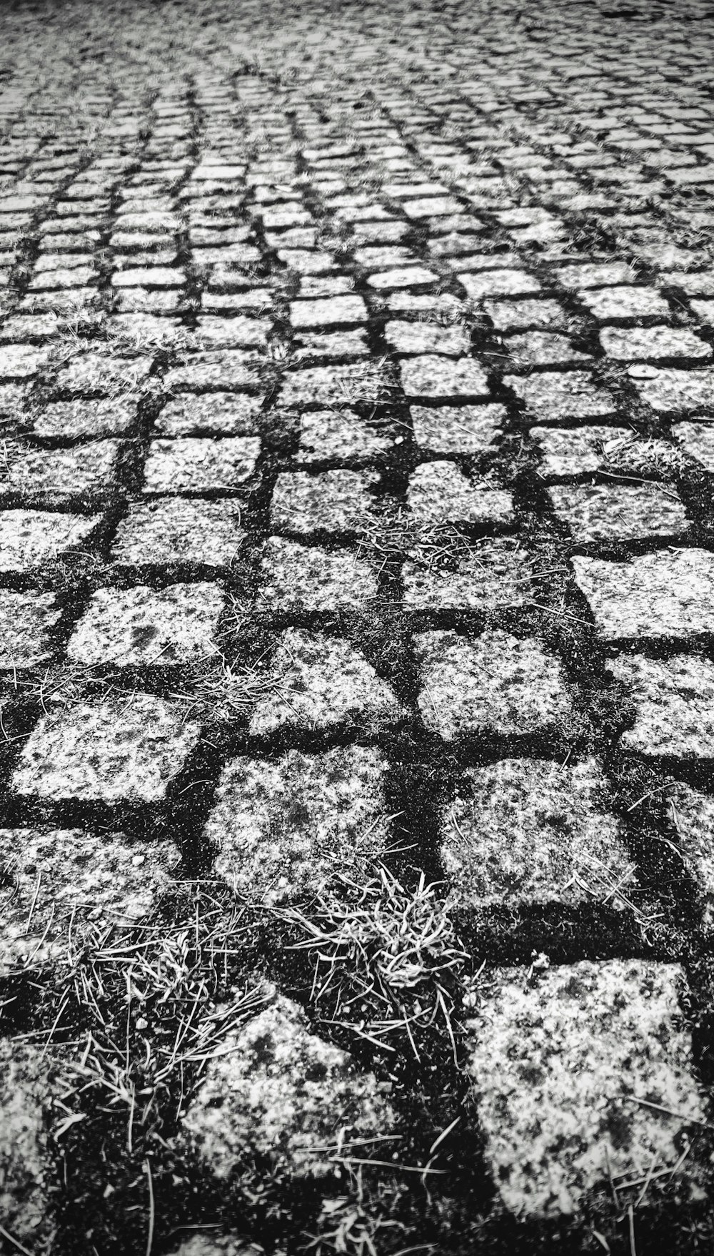 a black and white photo of a brick road