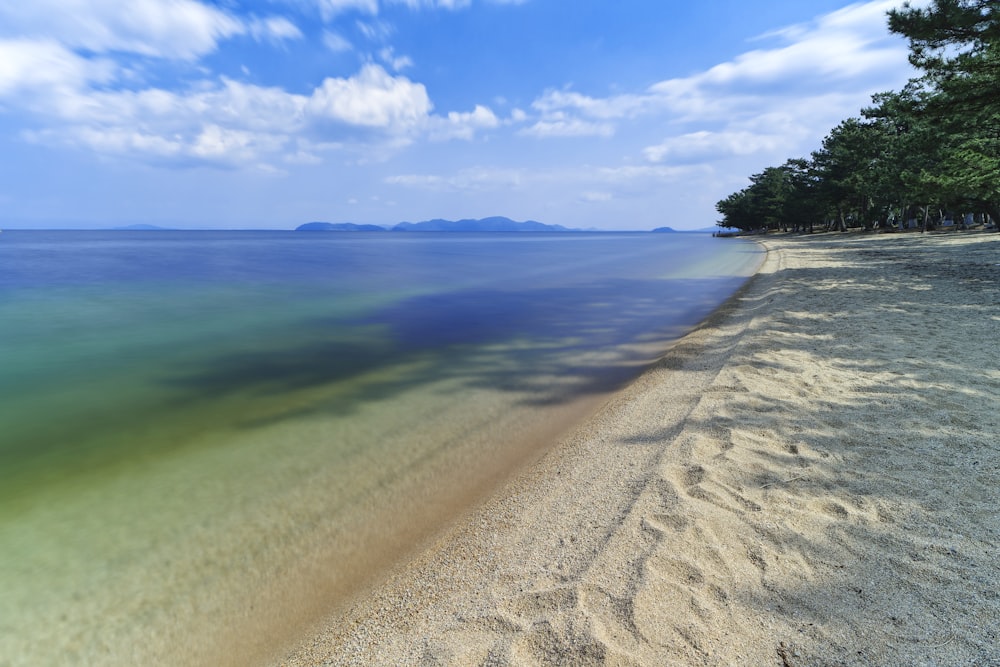 a sandy beach with clear blue water and trees