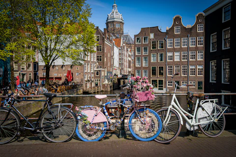 a group of bicycles parked next to each other in Amsterdam