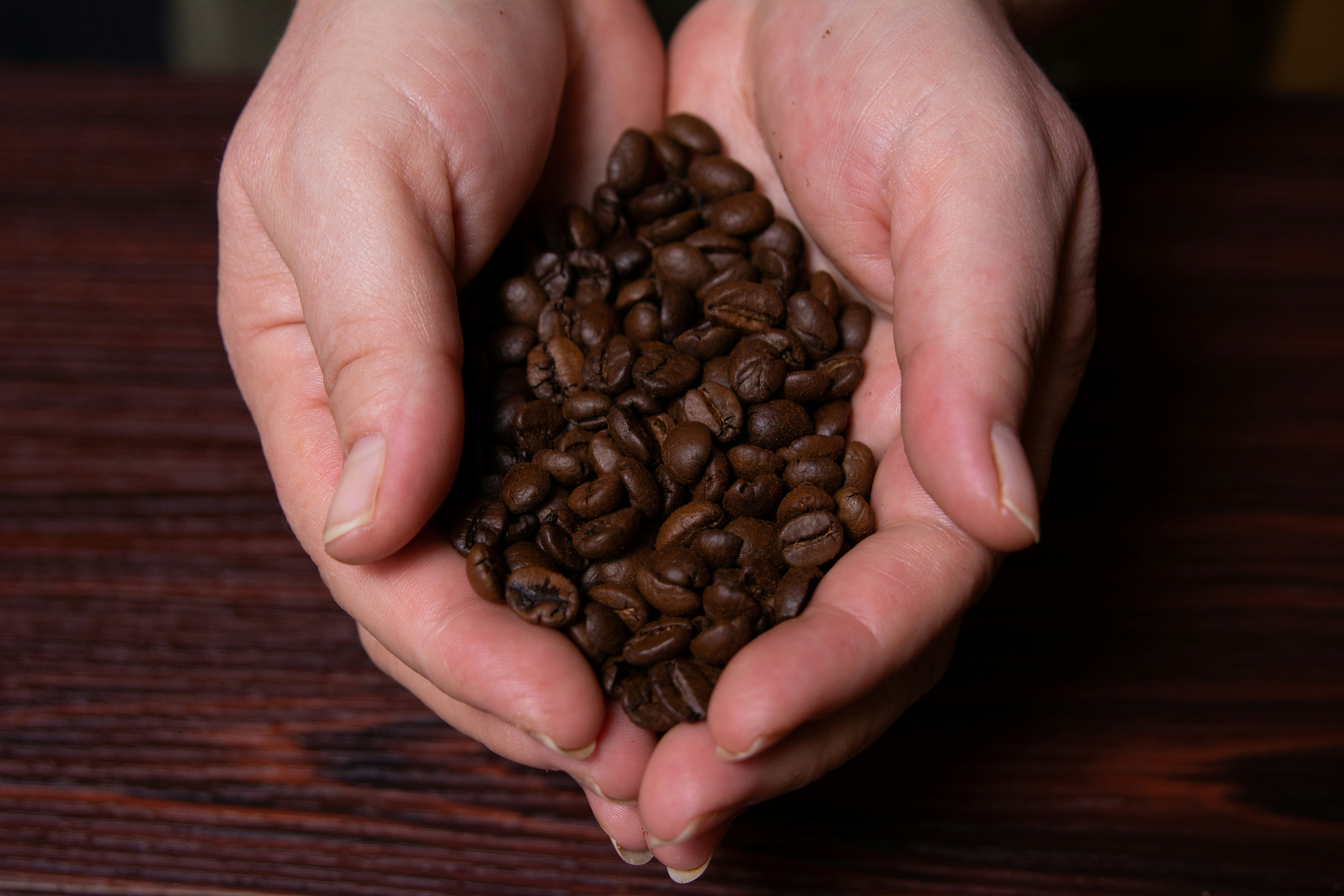 a person holding a handful of coffee beans