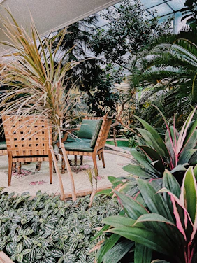 A beautifully designed modern tropical garden with lush green plants and cozy seating area under soft natural light.