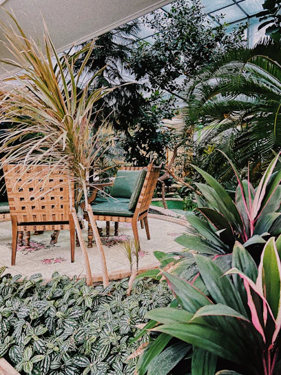 A beautifully designed modern tropical garden with lush green plants and cozy seating area under soft natural light.