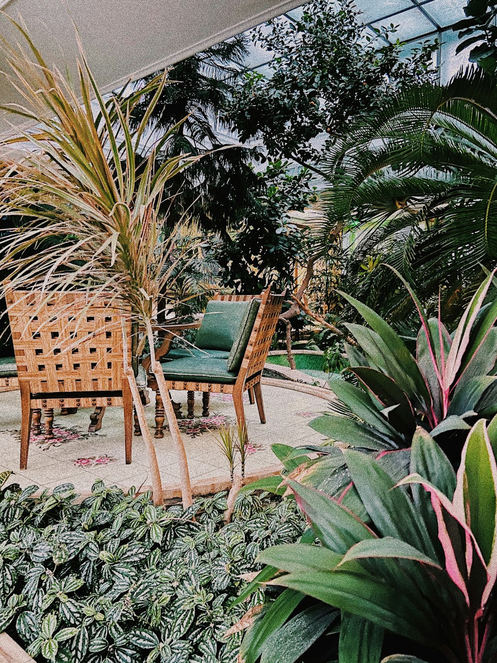 무성한 녹색 식물 옆에 앉아있는 두 개의 의자