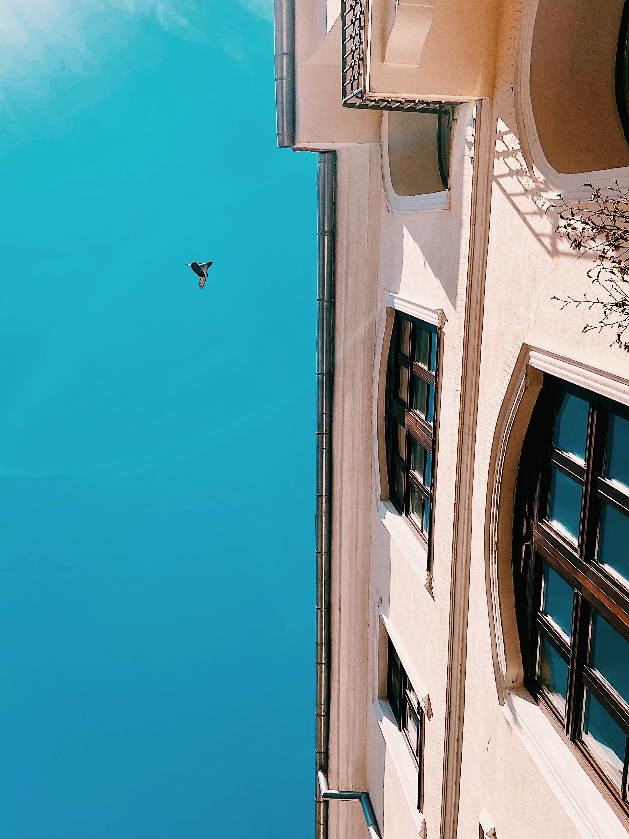 Photo by cristiaanmacovei