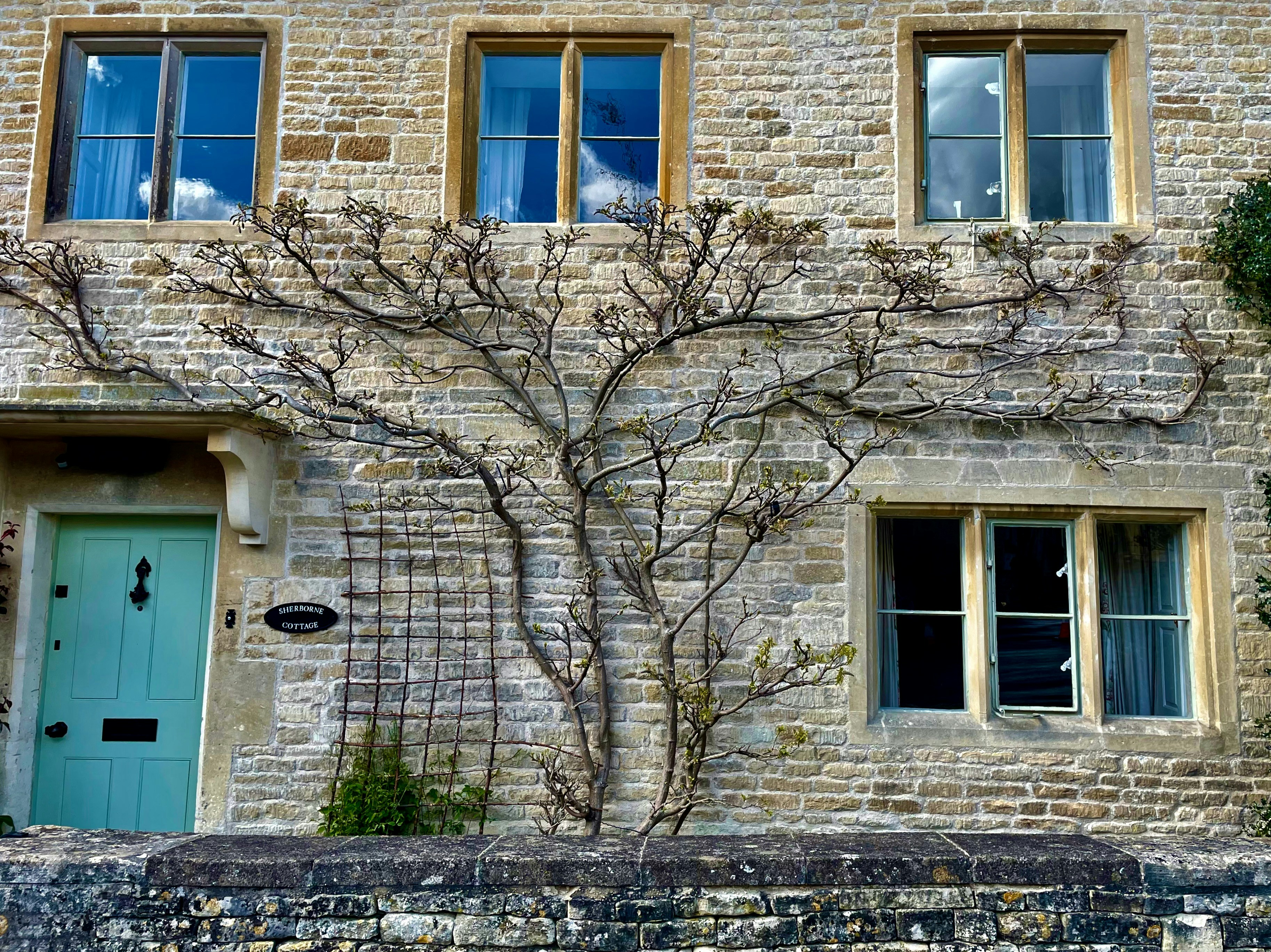 Photo by phoenix_2022