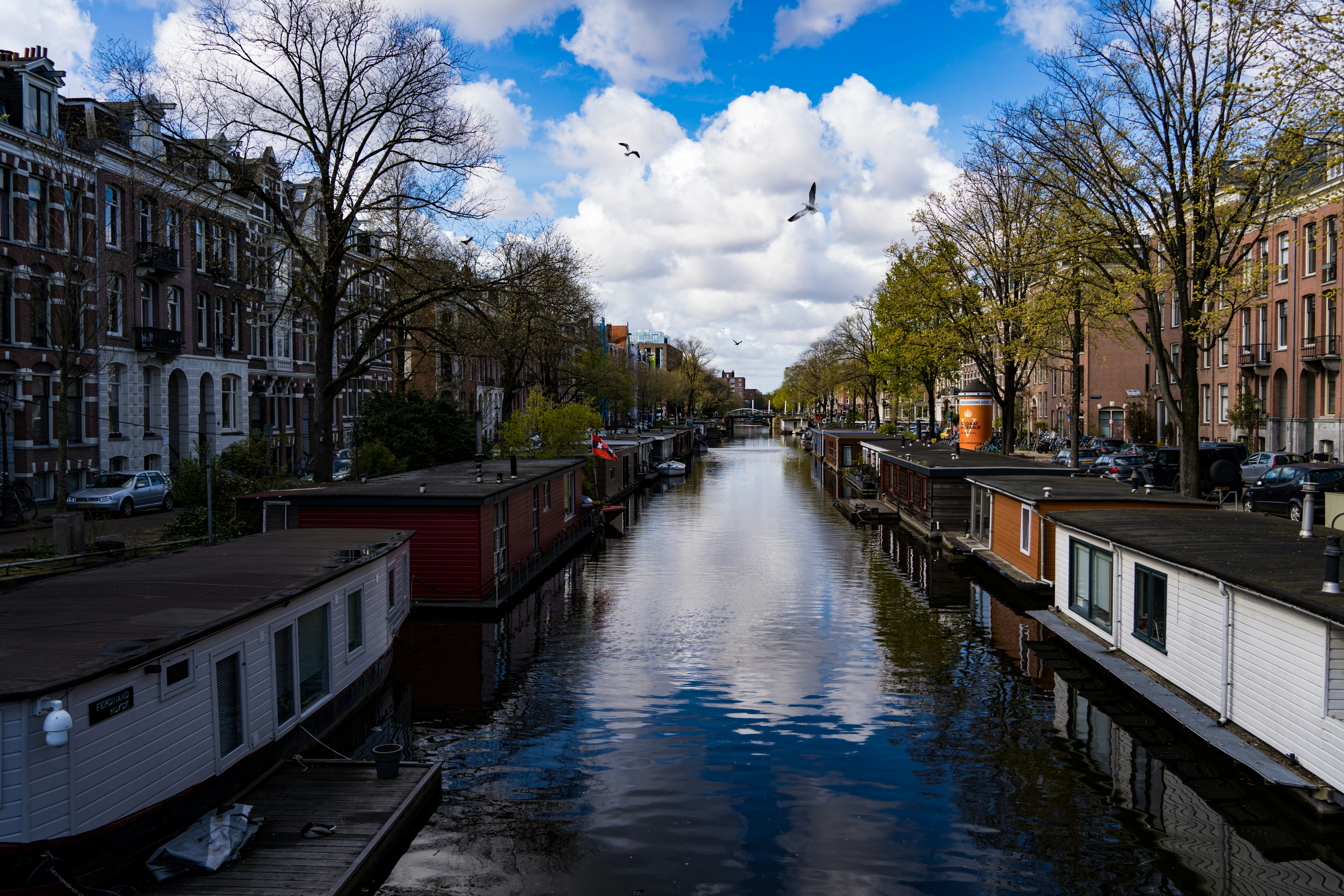 Photo by kingahunyadi