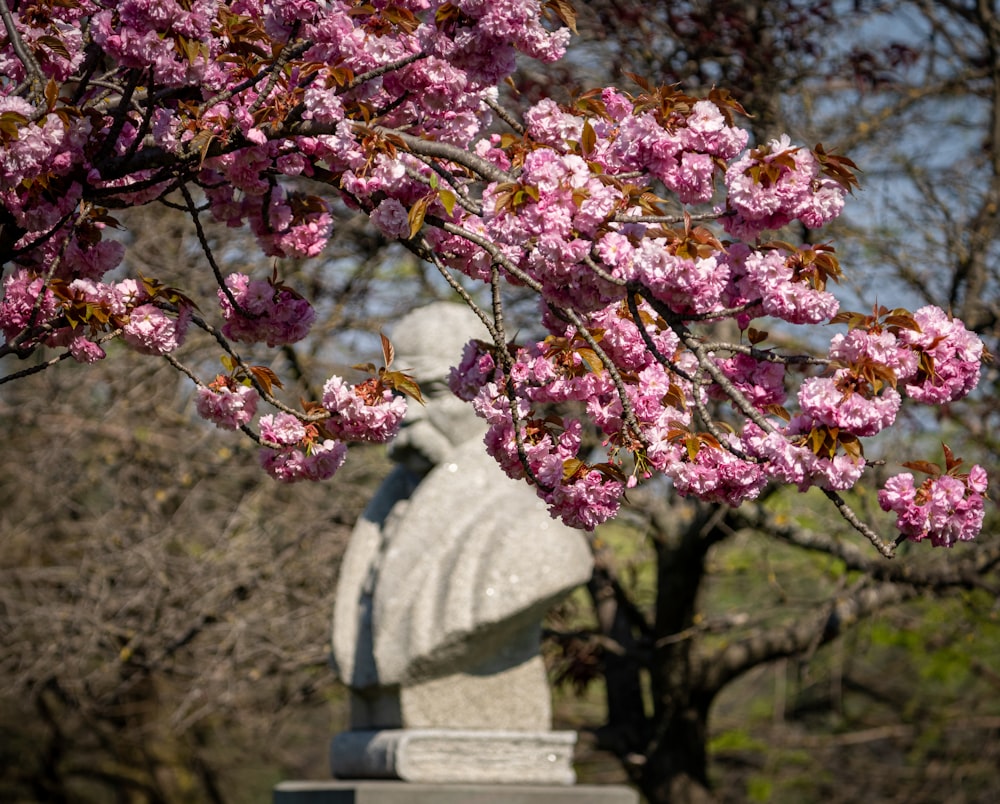 a statue of a person with a hat and a flowered tree in the background