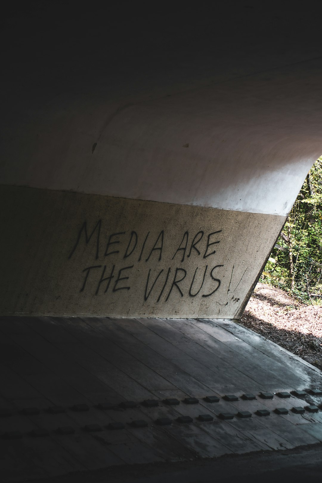 The Media is the Virus 