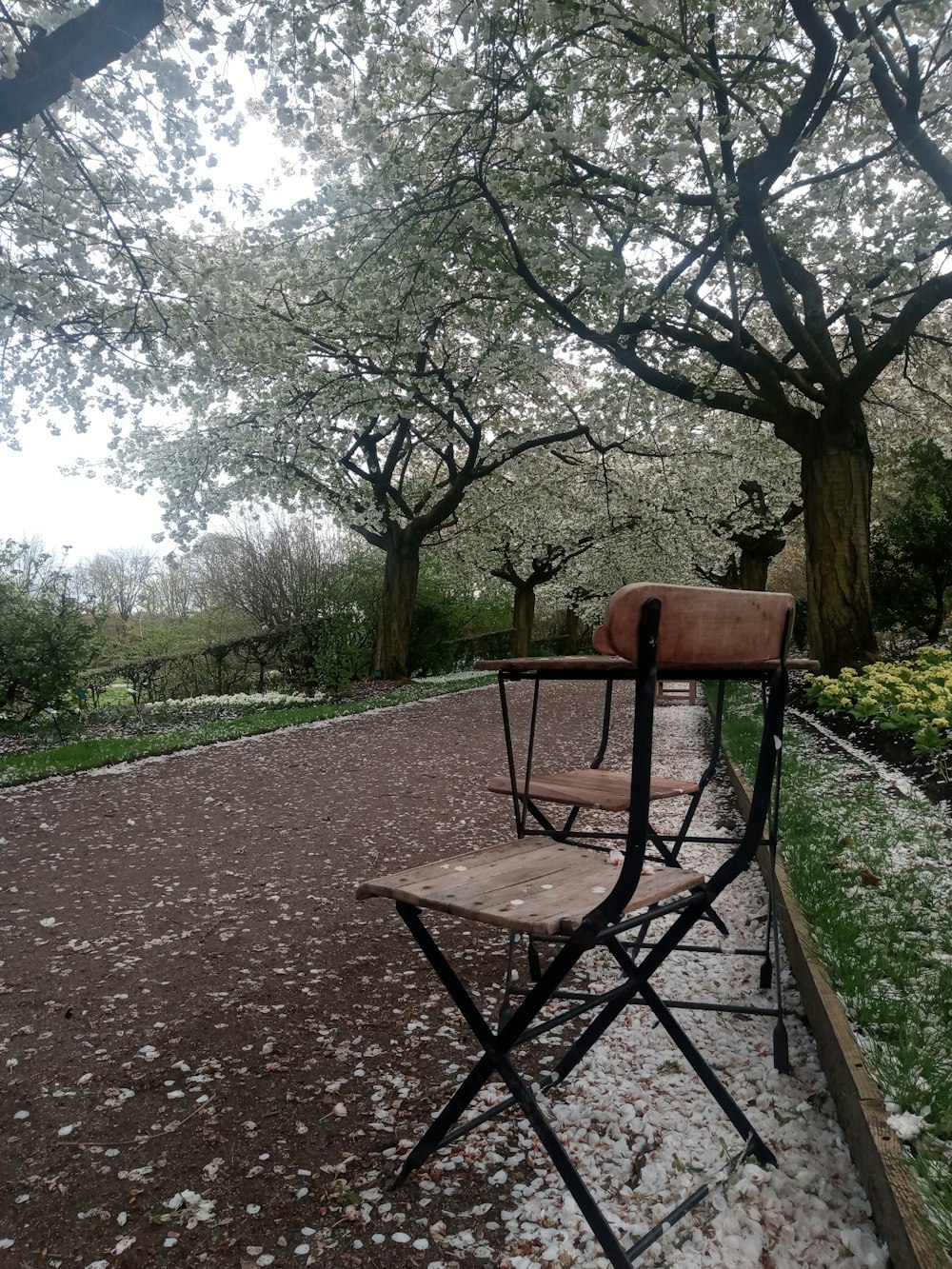 a couple of chairs sitting on top of a sidewalk