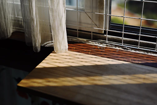 Sunlight filtering through a window onto a row of finished fabric animals ready to be loved.