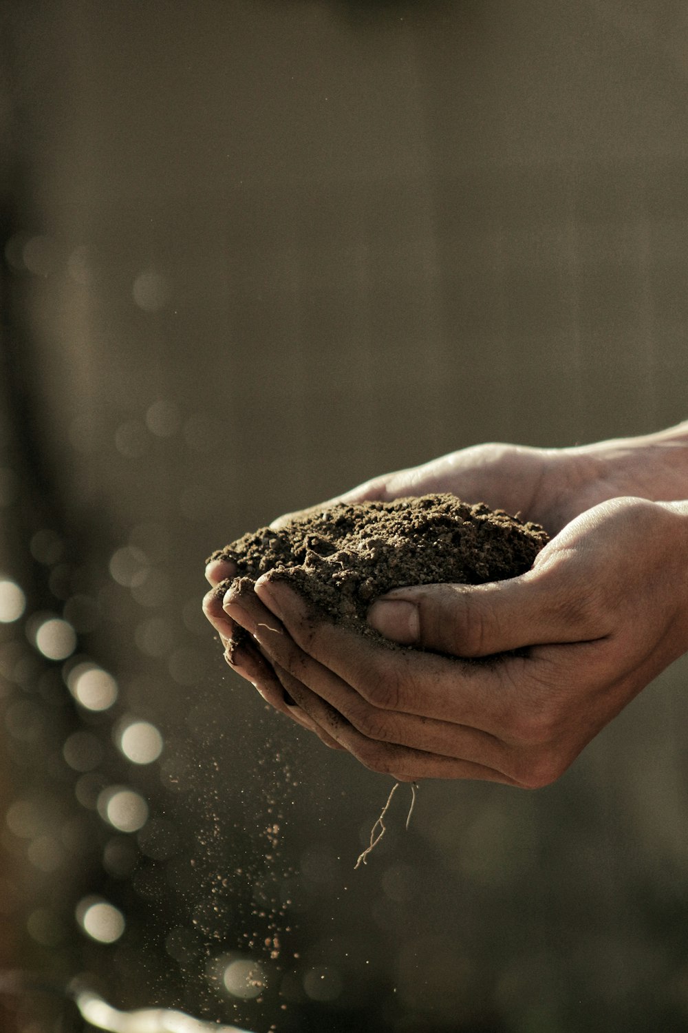a person holding dirt in their hands