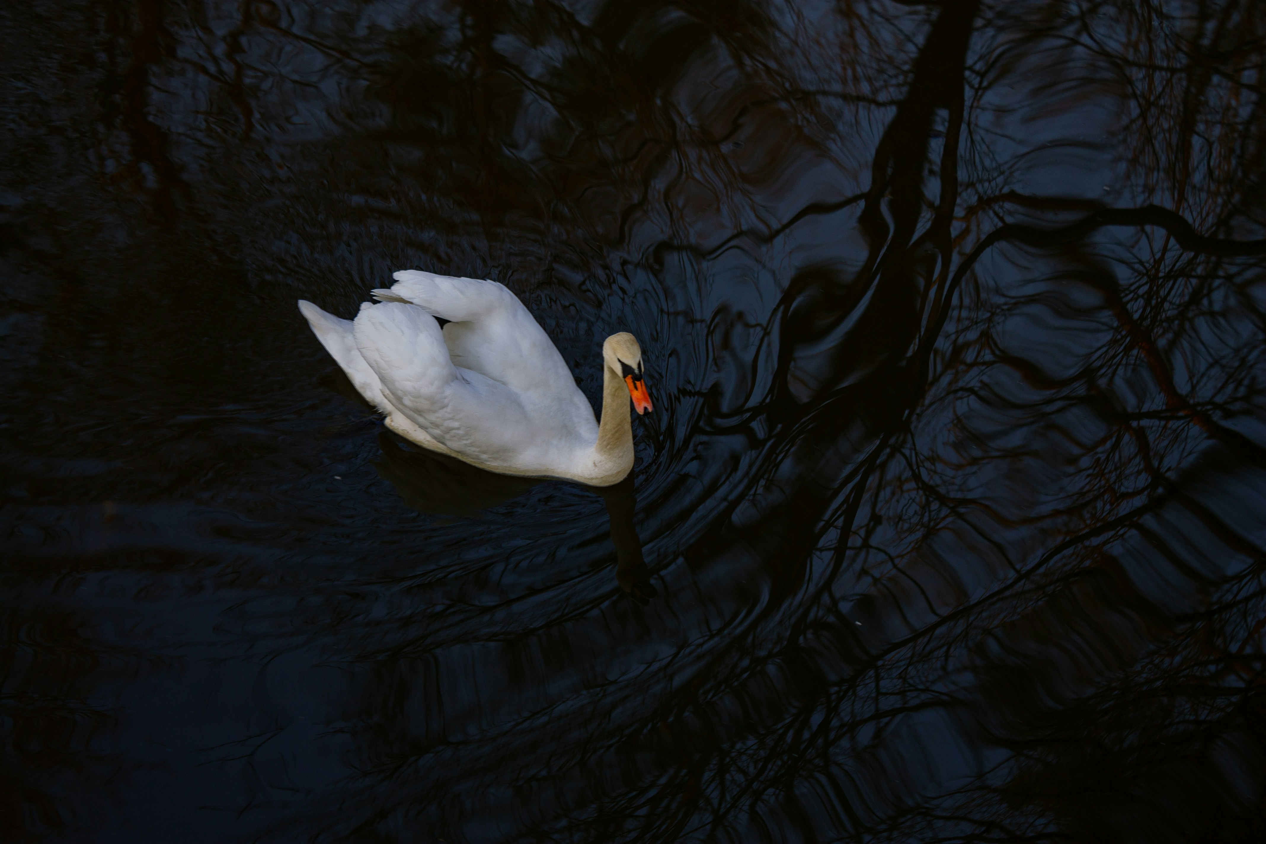 Photo by kolosovskiy