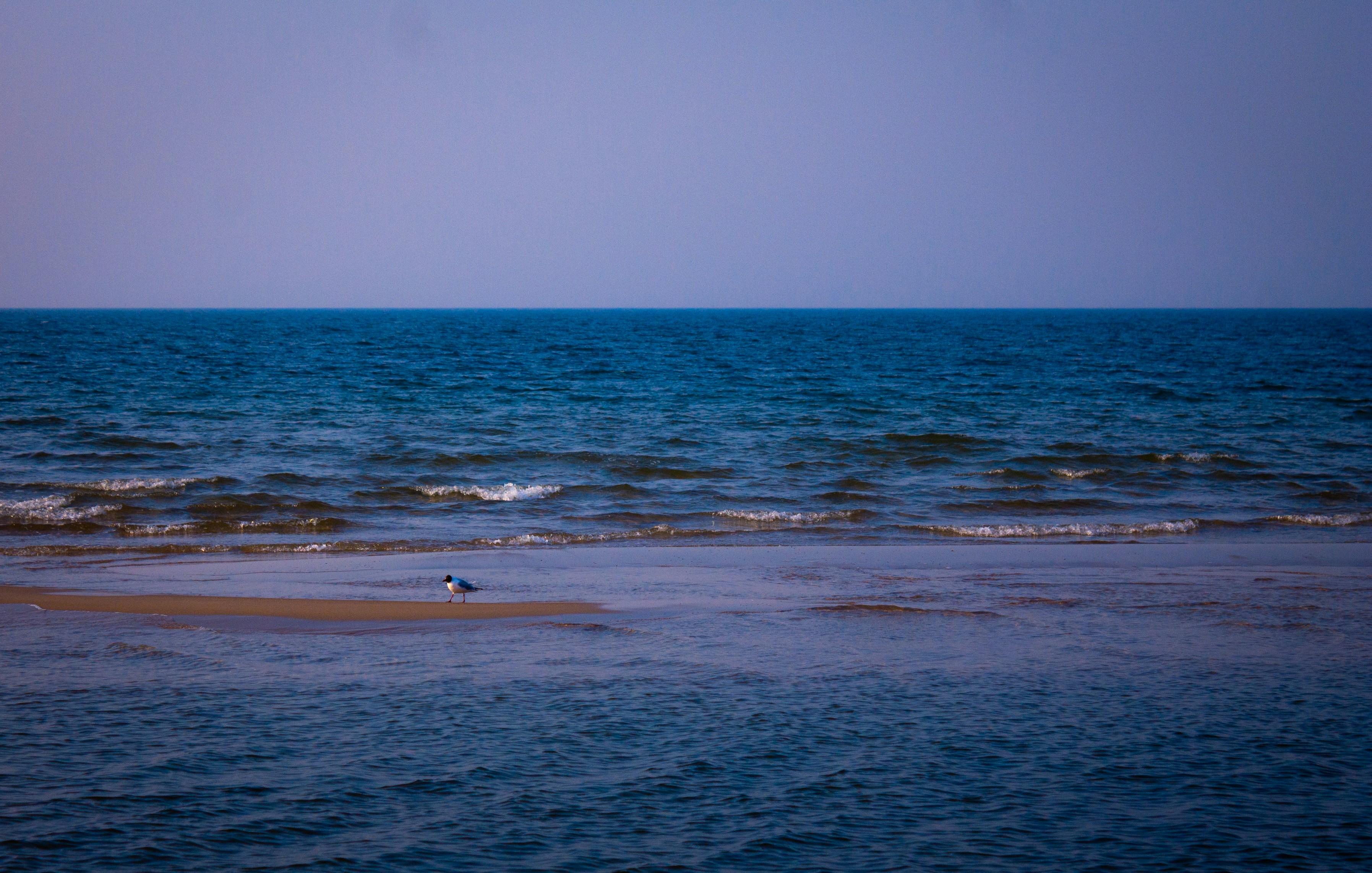 Photo by kolosovskiy