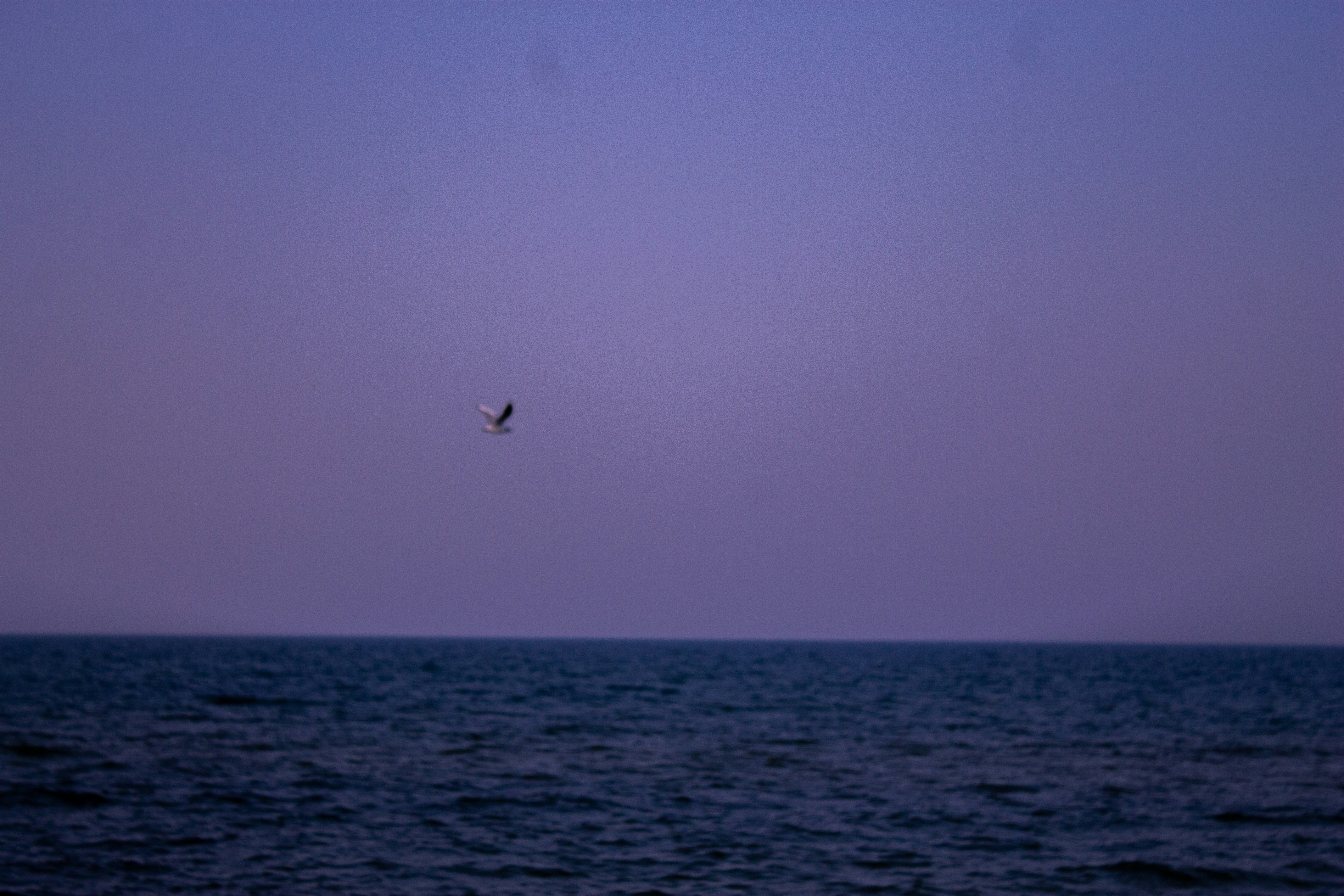 Photo by kolosovskiy