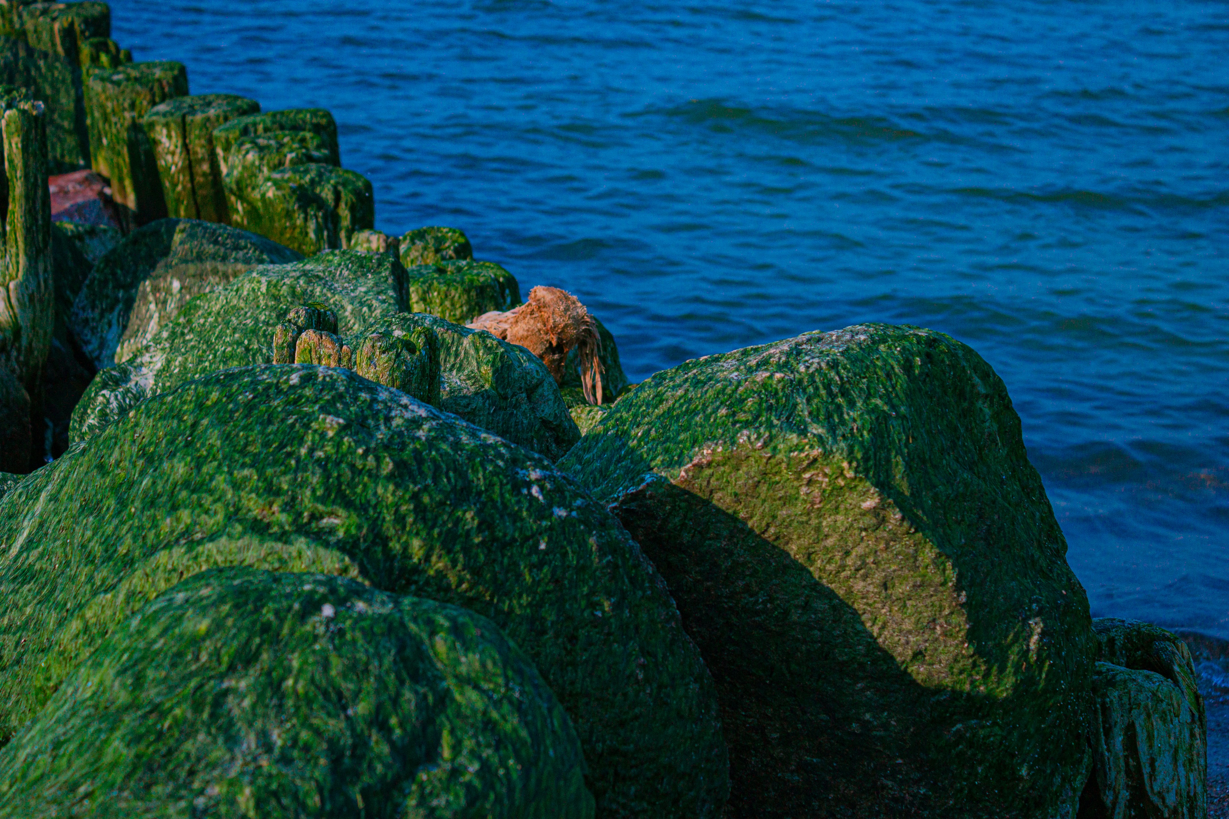 Photo by kolosovskiy