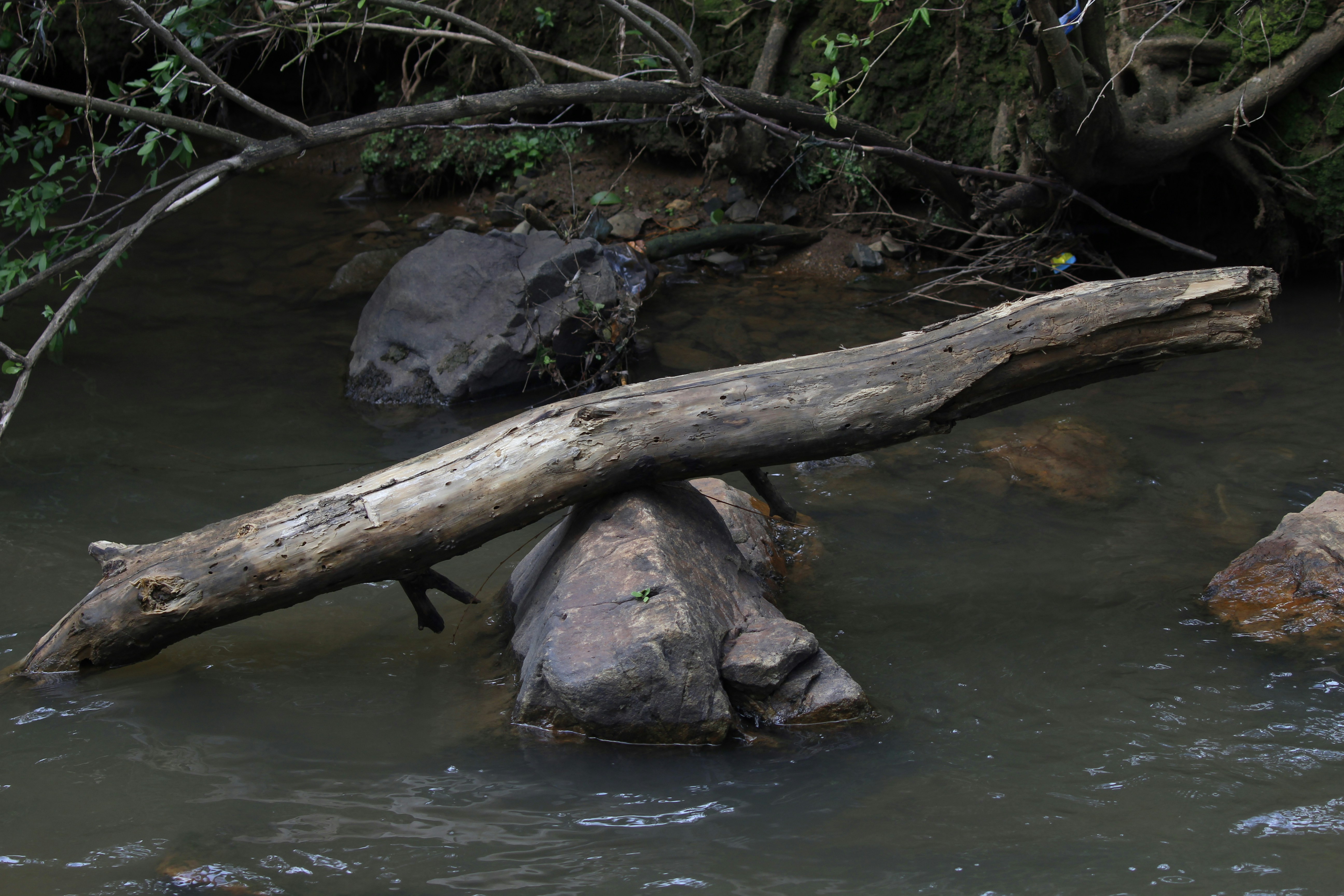 Photo by lena_bauermeister