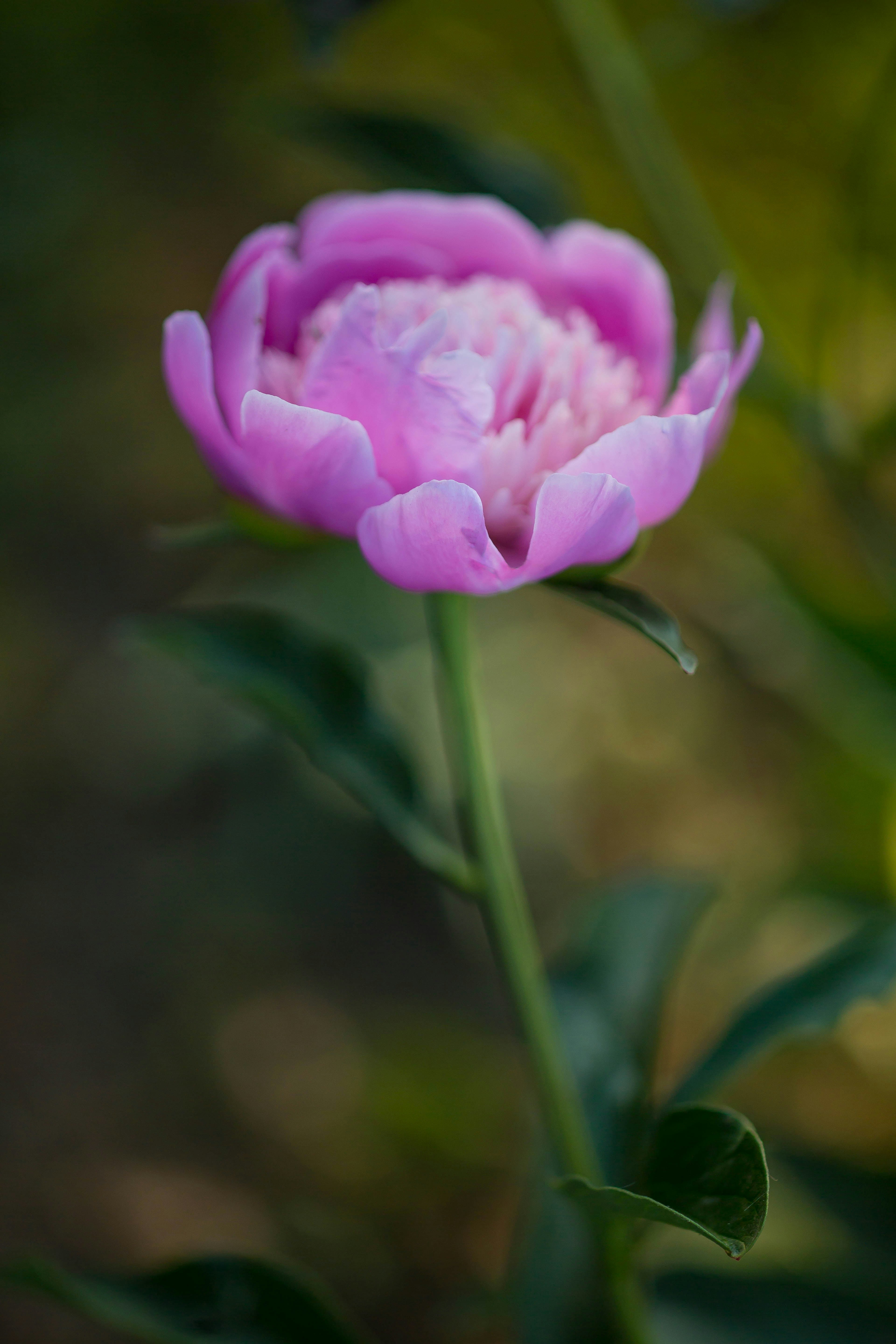 Photo by ccronan