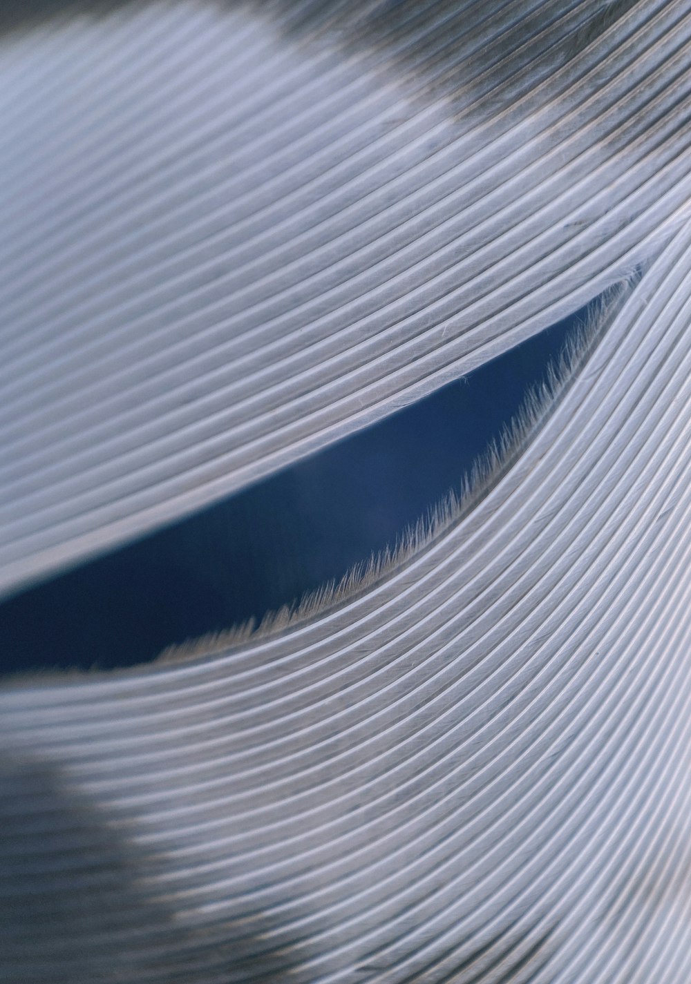a close up view of a curved metal surface