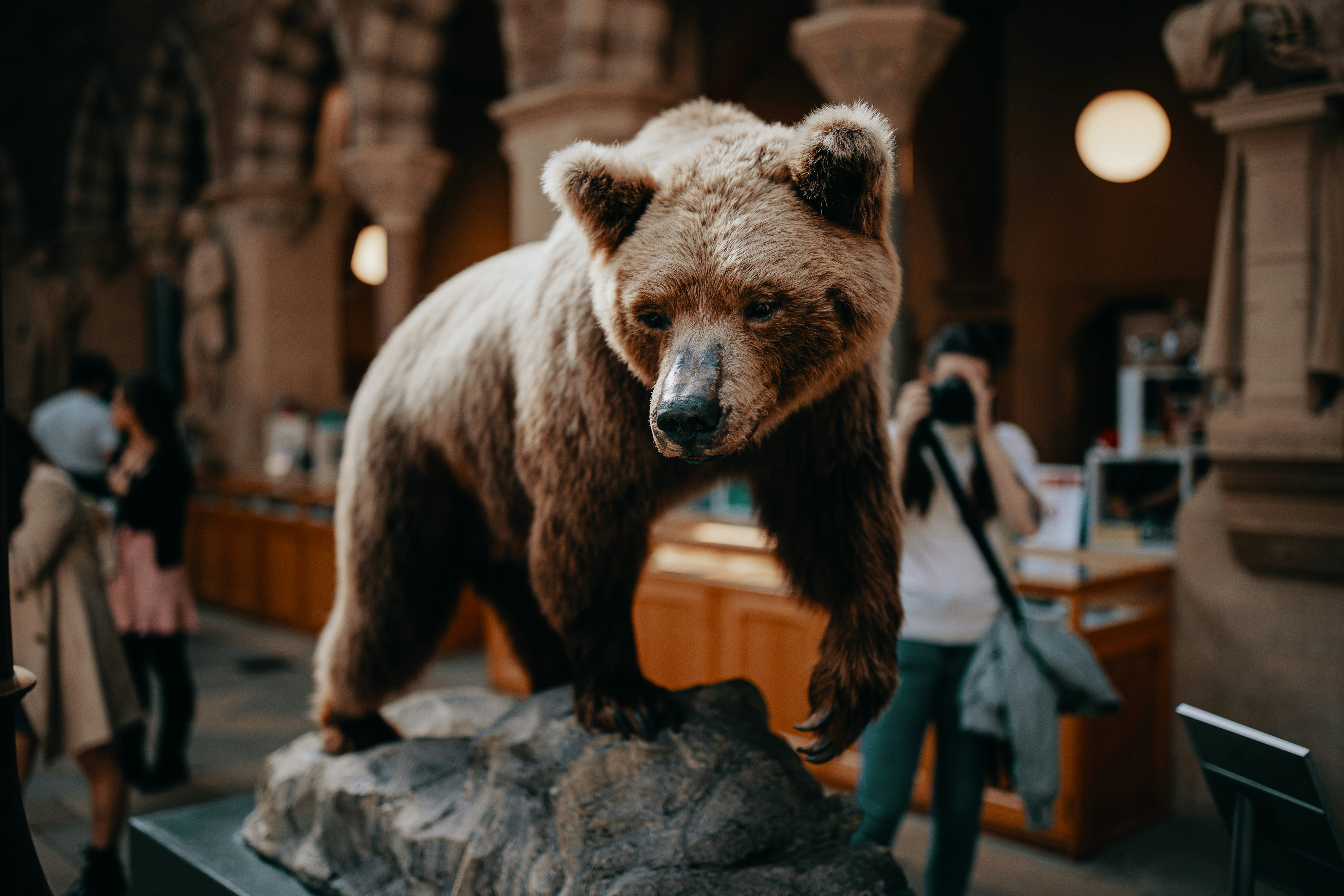 Bear Market Duration According to History